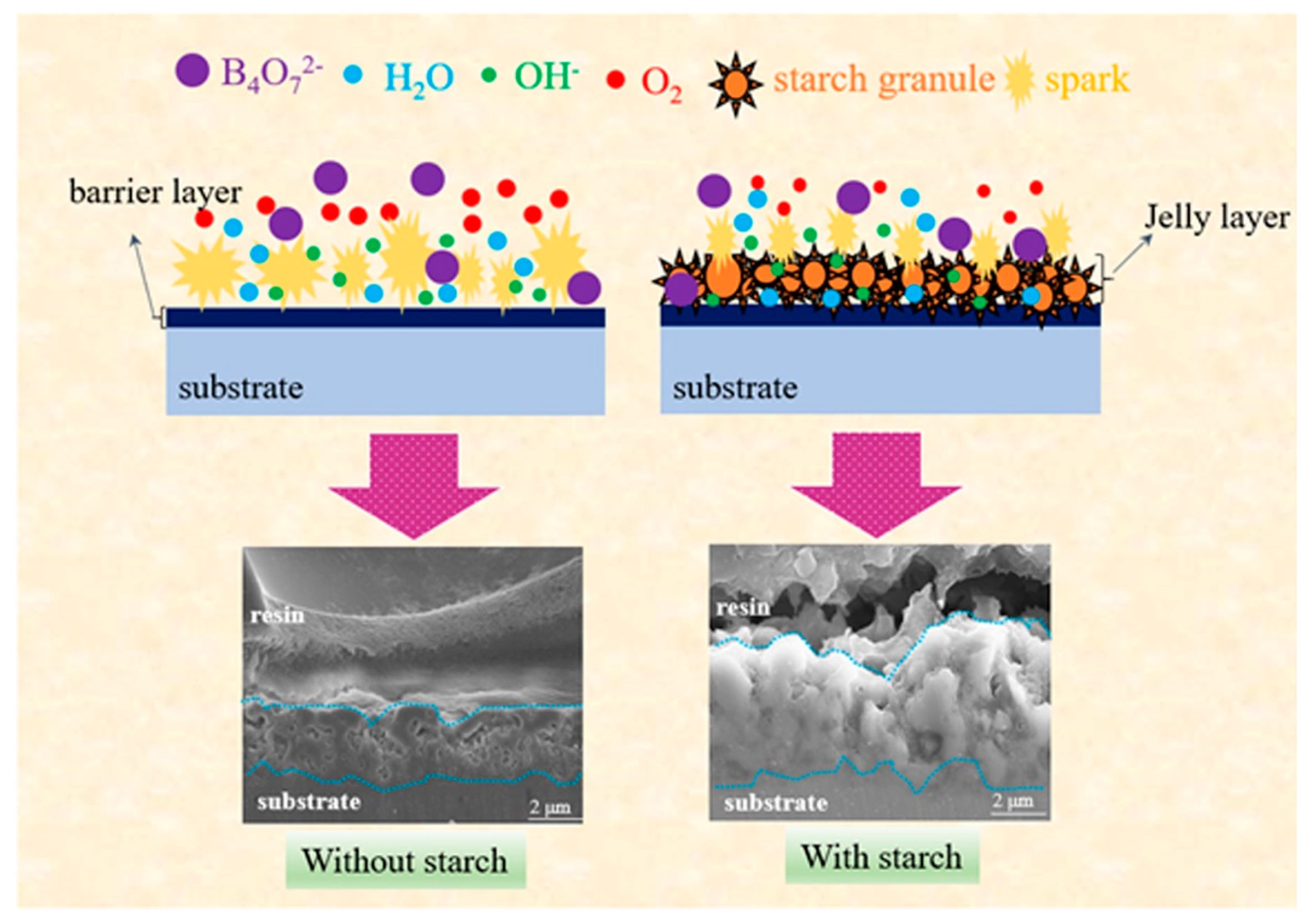 Coatings 11 00374 g008 Coatings 11 00374 g008