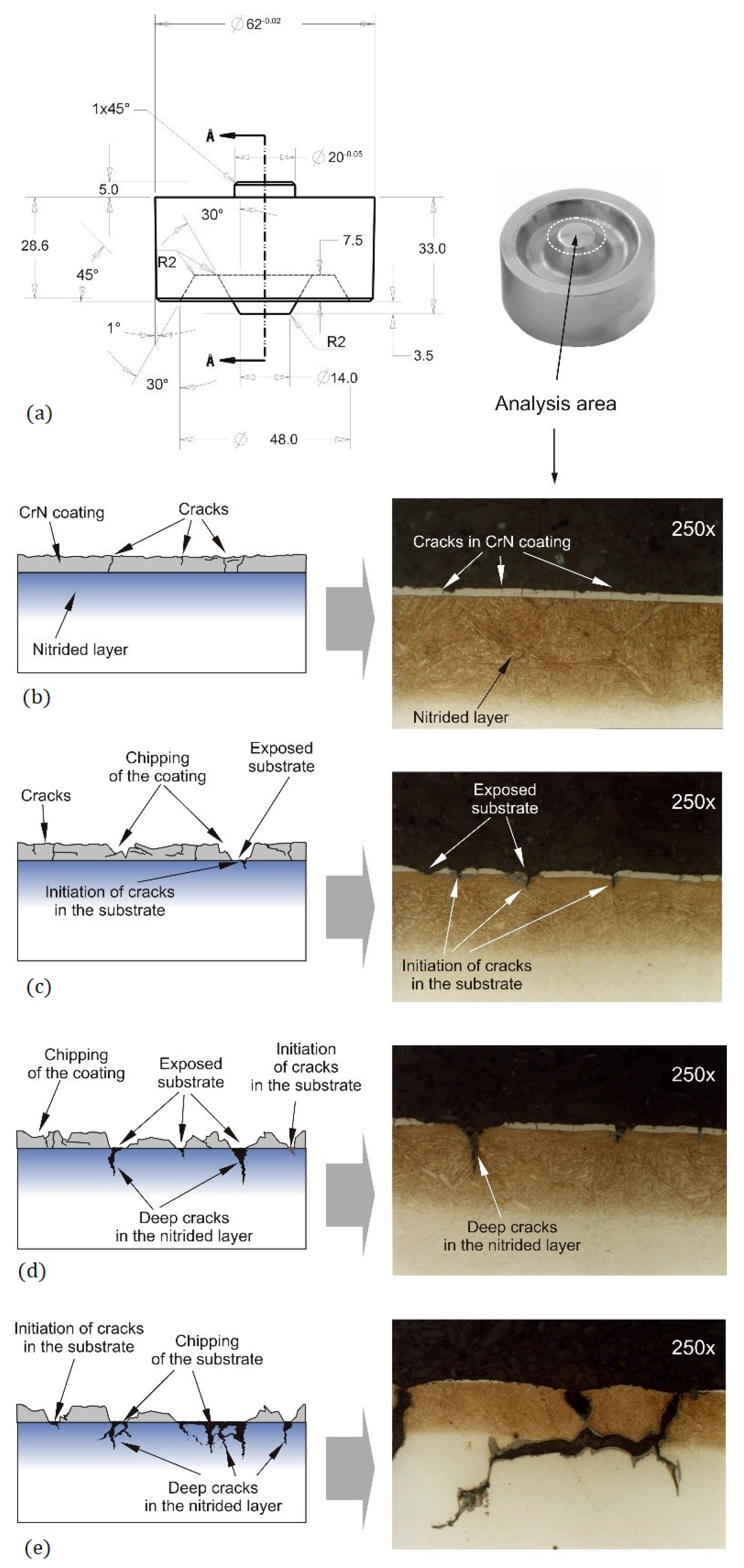 Coatings 11 00376 g007 Coatings 11 00376 g007