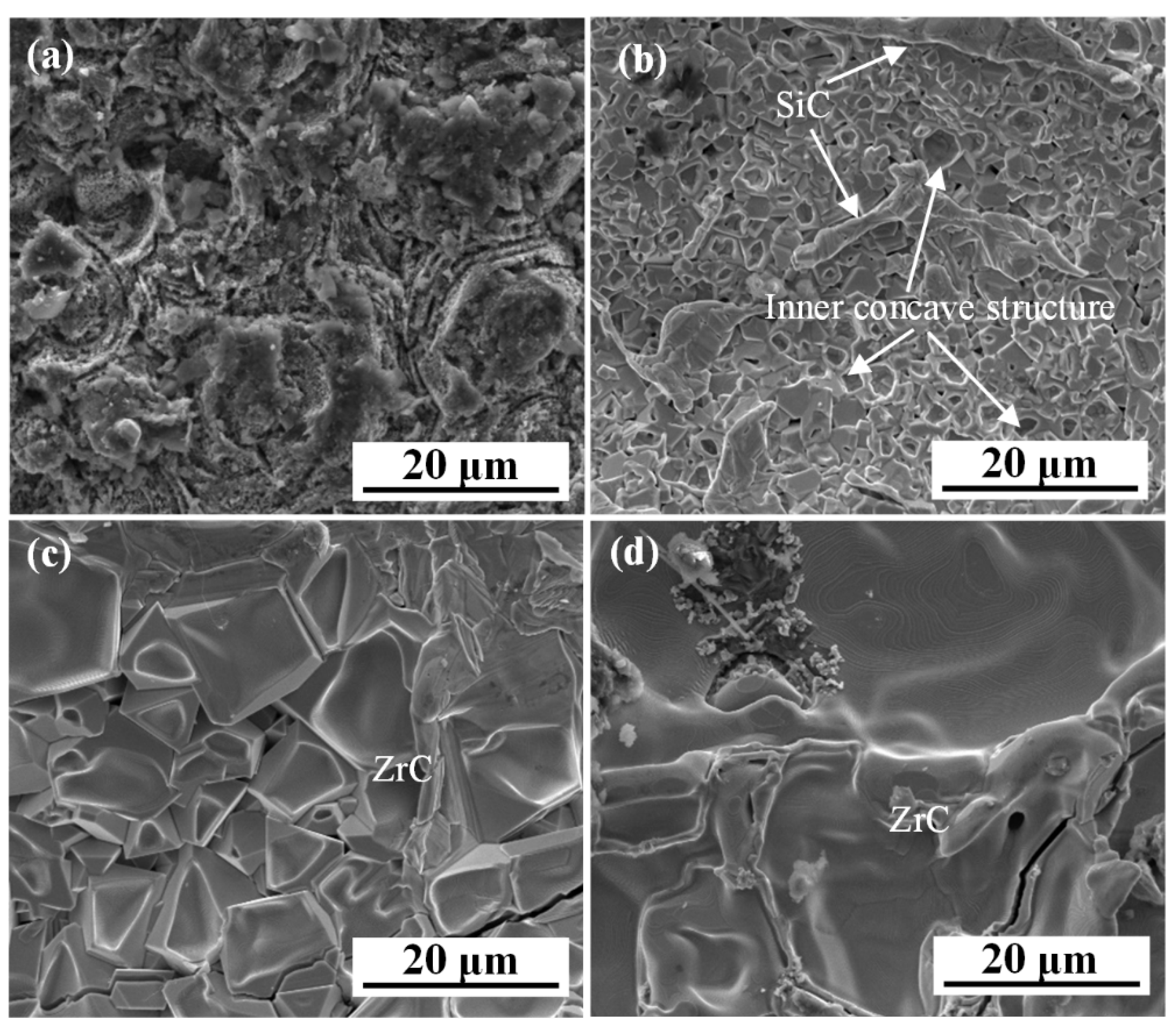 Coatings 11 00378 g002