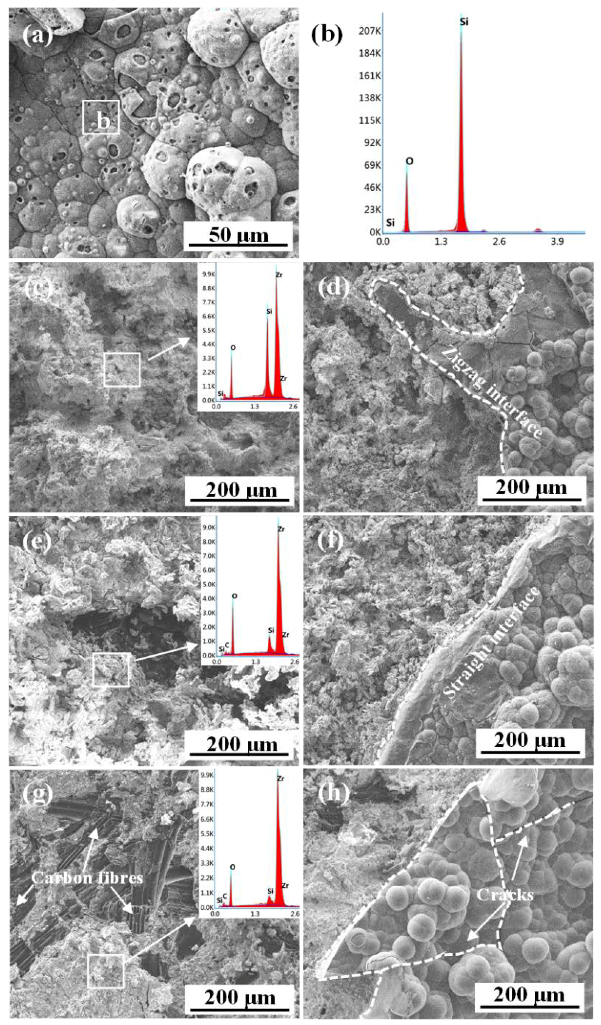 Coatings 11 00378 g007
