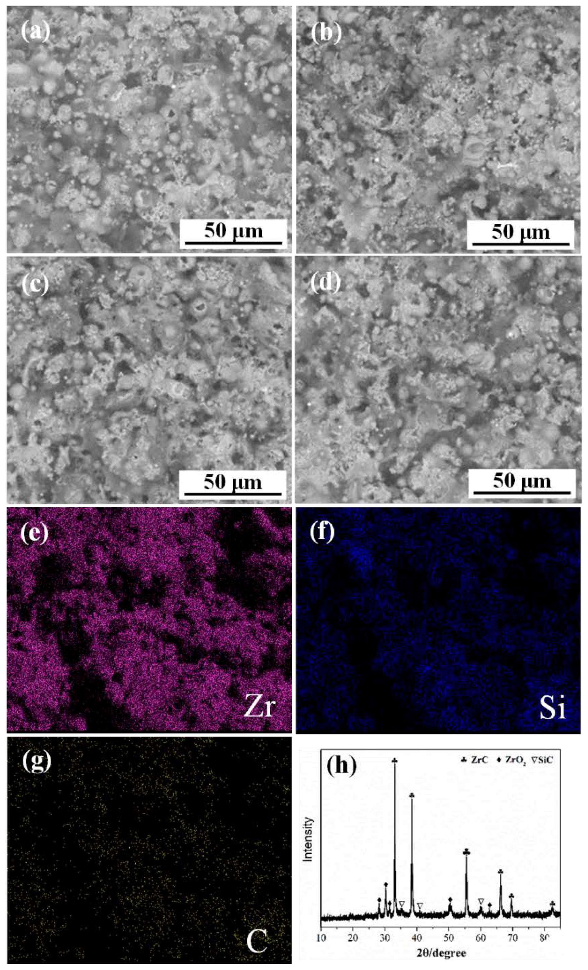Coatings 11 00378 g008