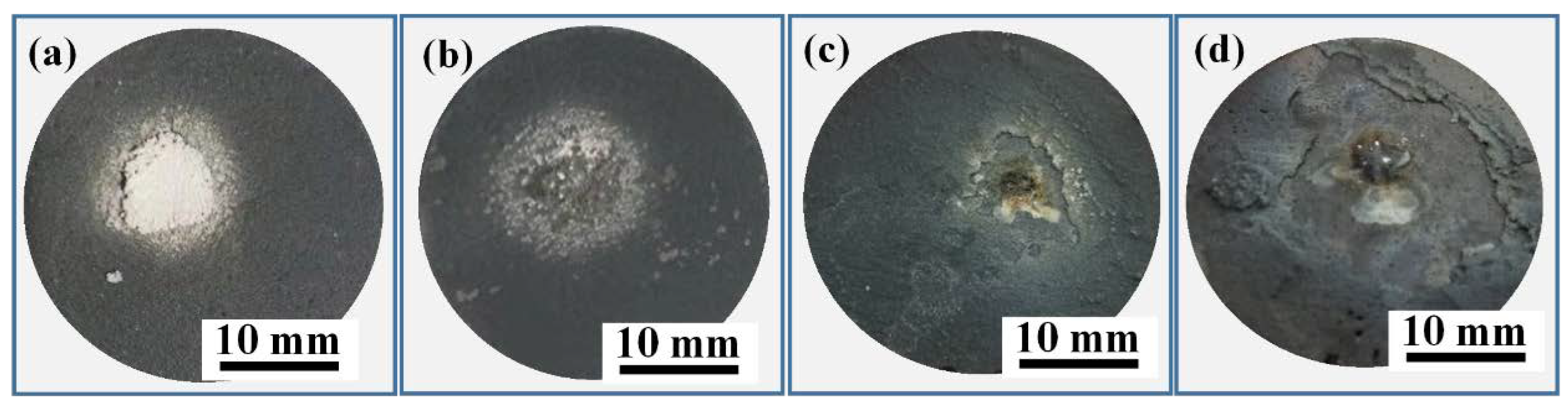 Coatings 11 00378 g010