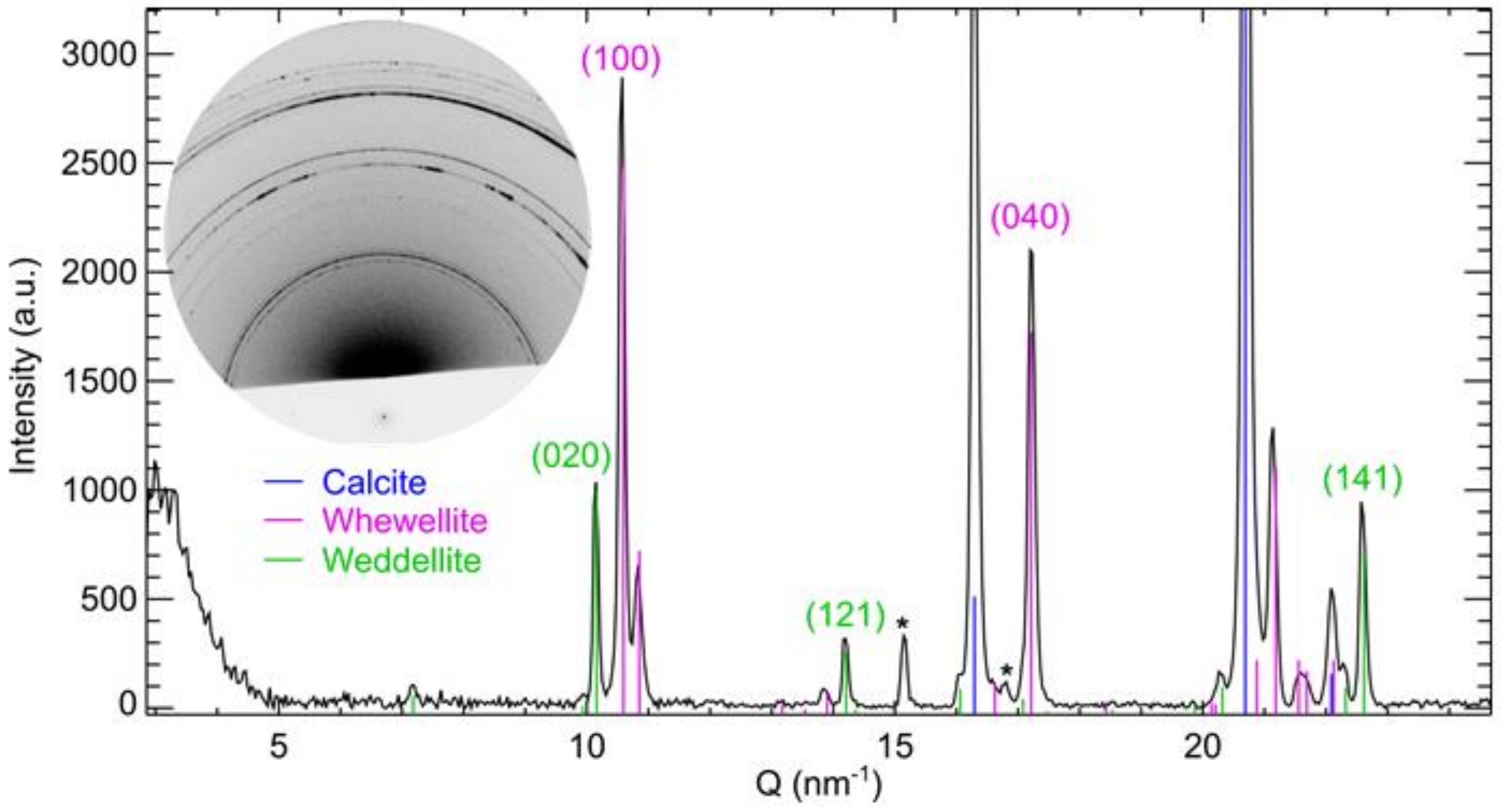 Coatings 11 00379 g001