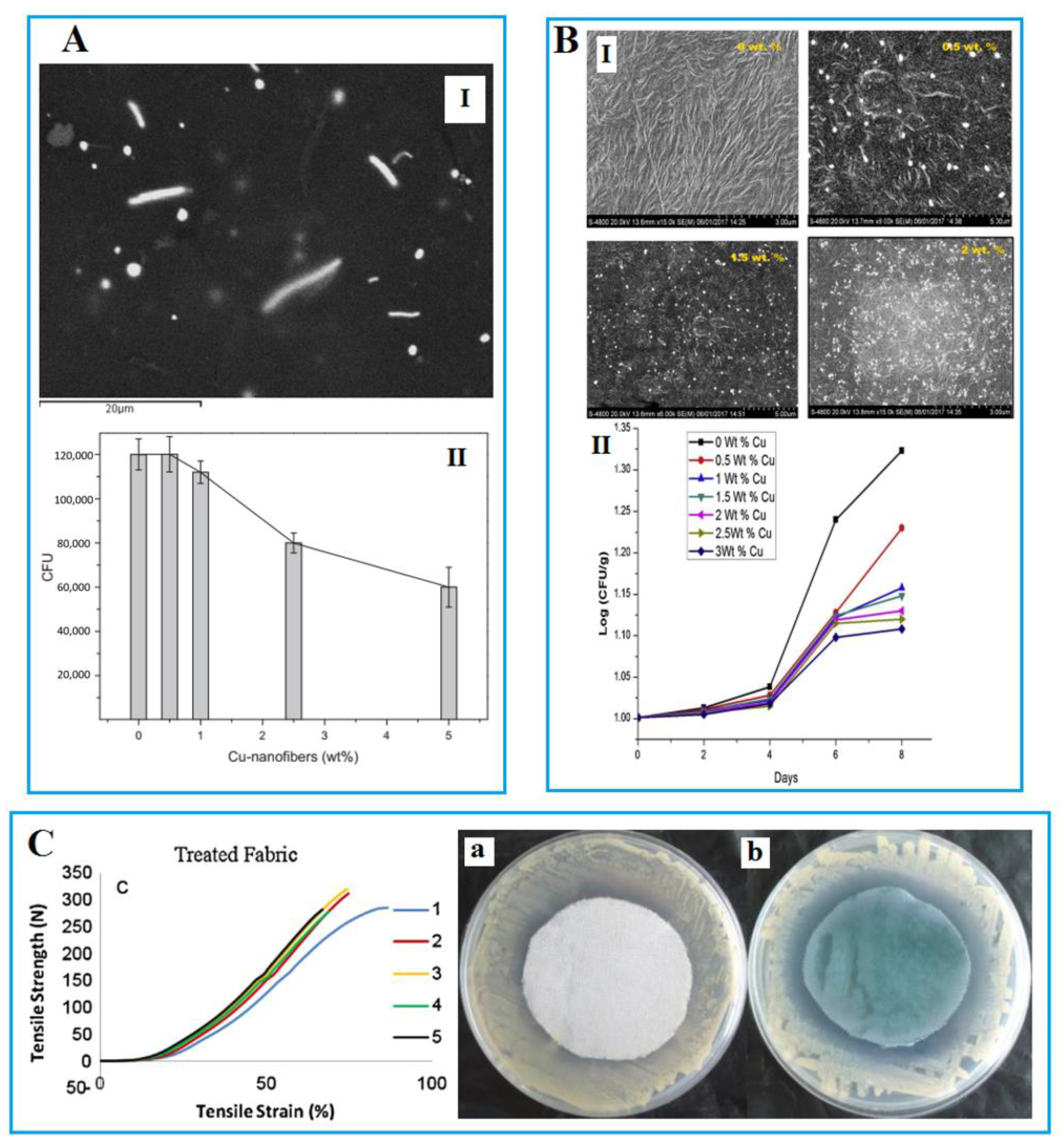 Coatings 11 00380 g002