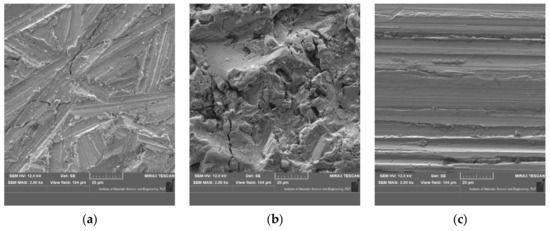 Coatings 11 00384 g010 550