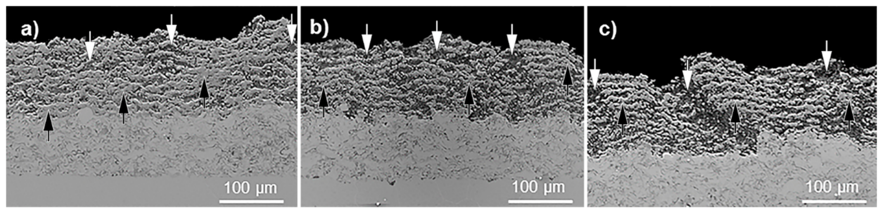 Coatings 11 00387 g002