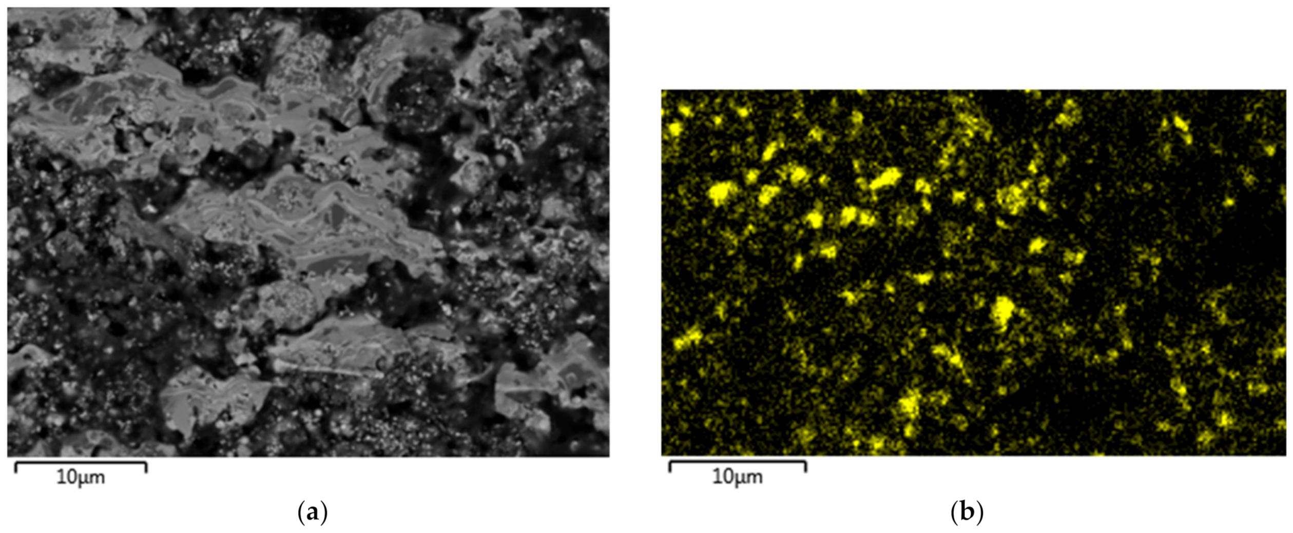 Coatings 11 00387 g004