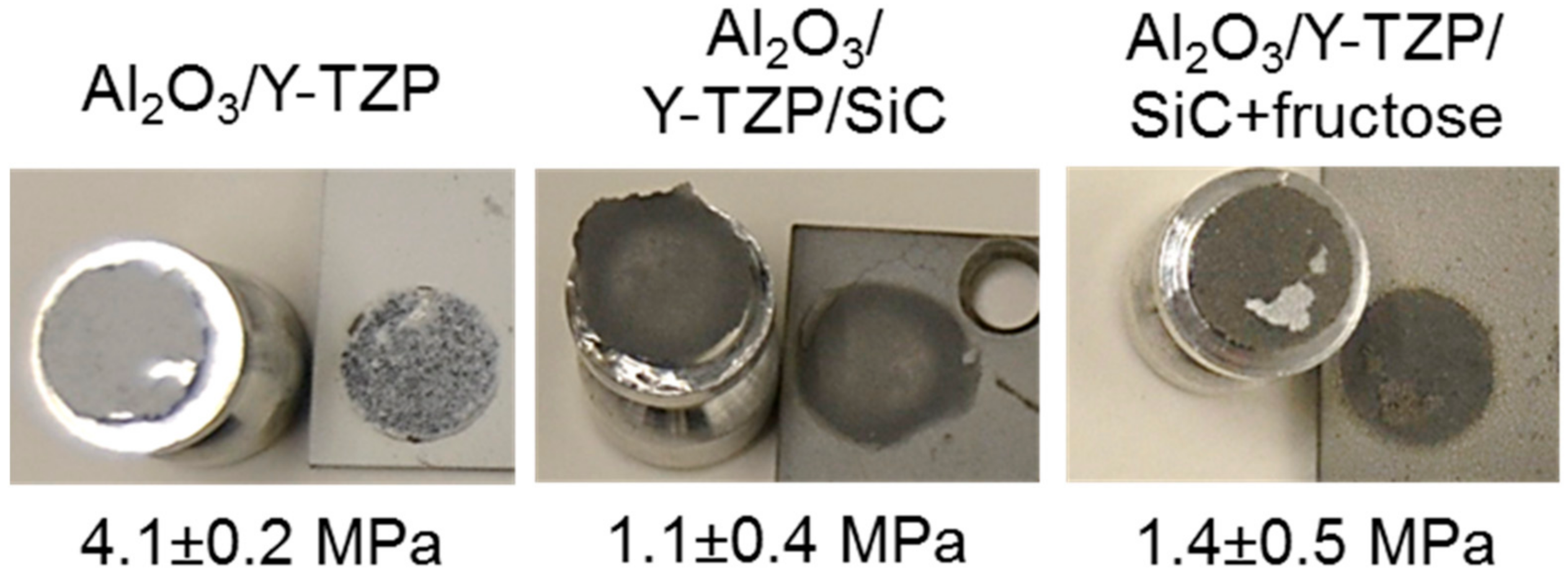 Coatings 11 00387 g008