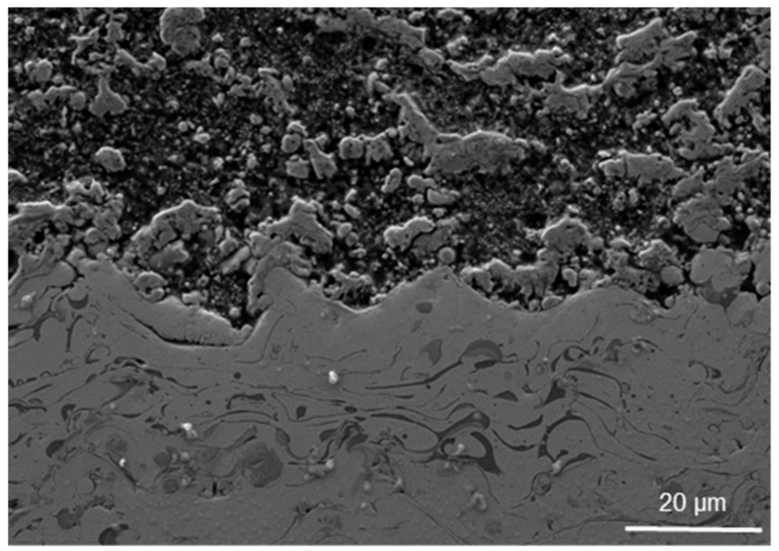 Coatings 11 00387 g009