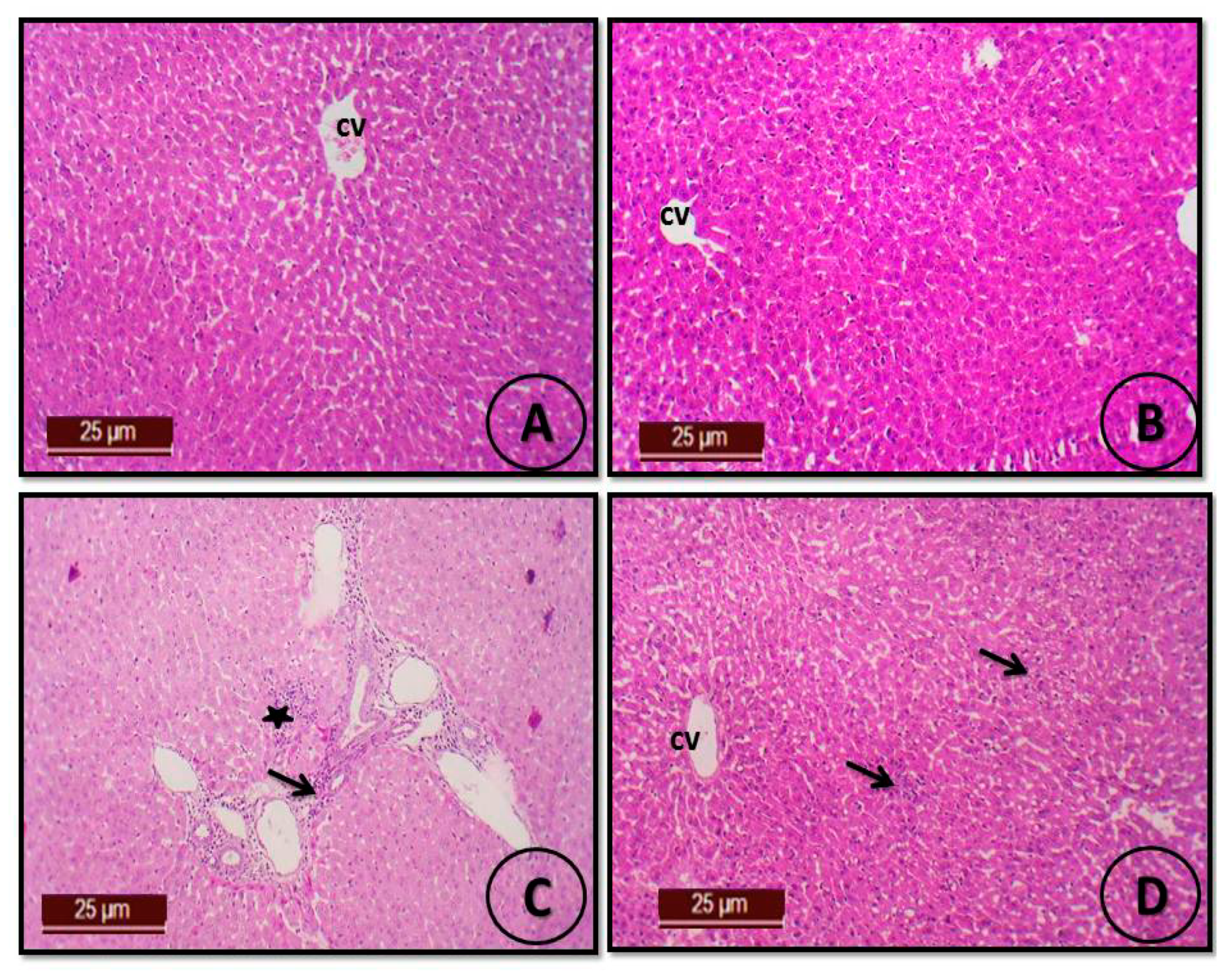 Coatings 11 00391 g007 Coatings 11 00391 g007