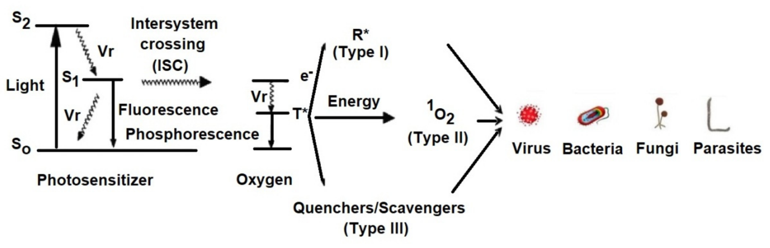 Coatings 11 00393 g002