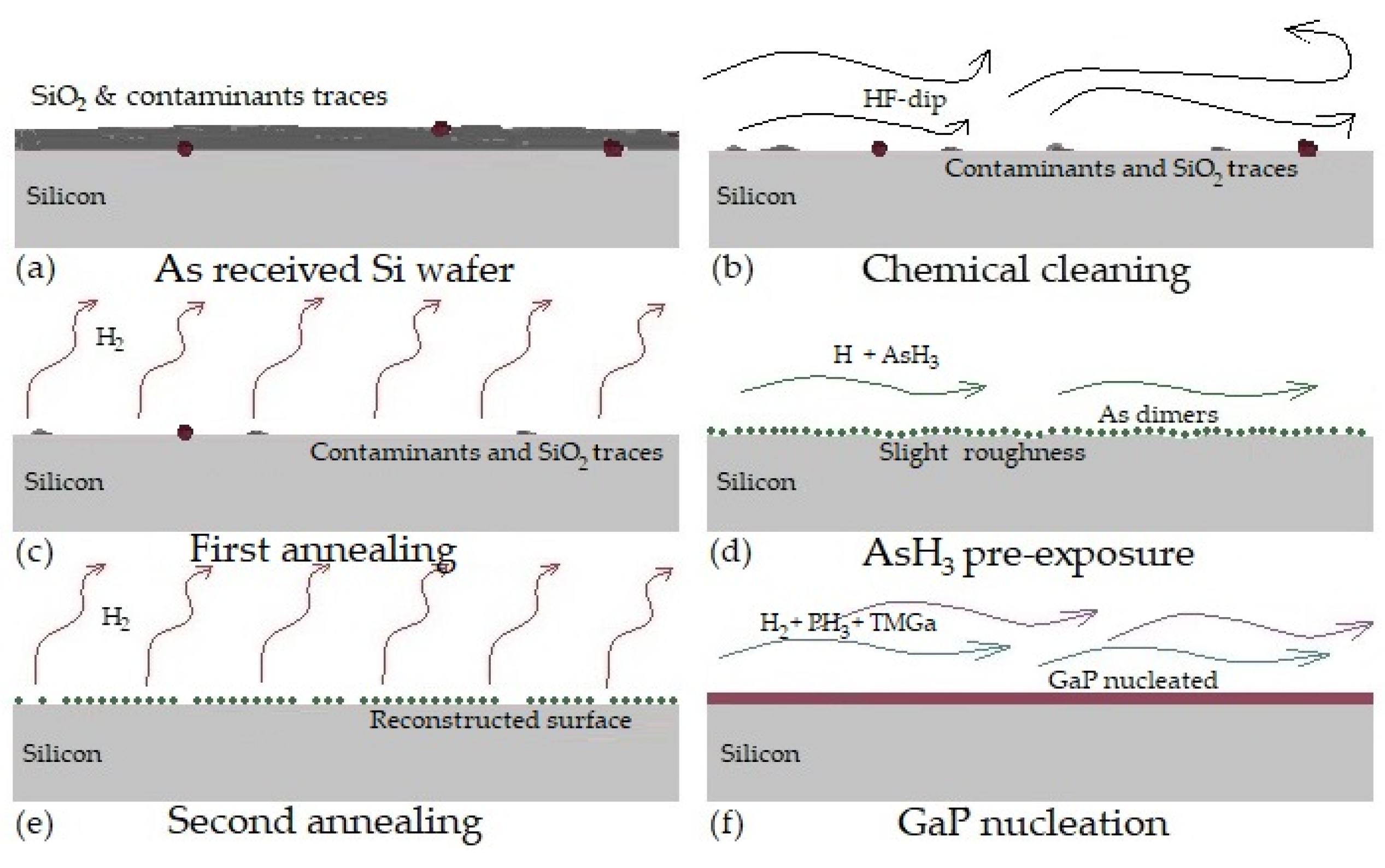 Coatings 11 00398 g002