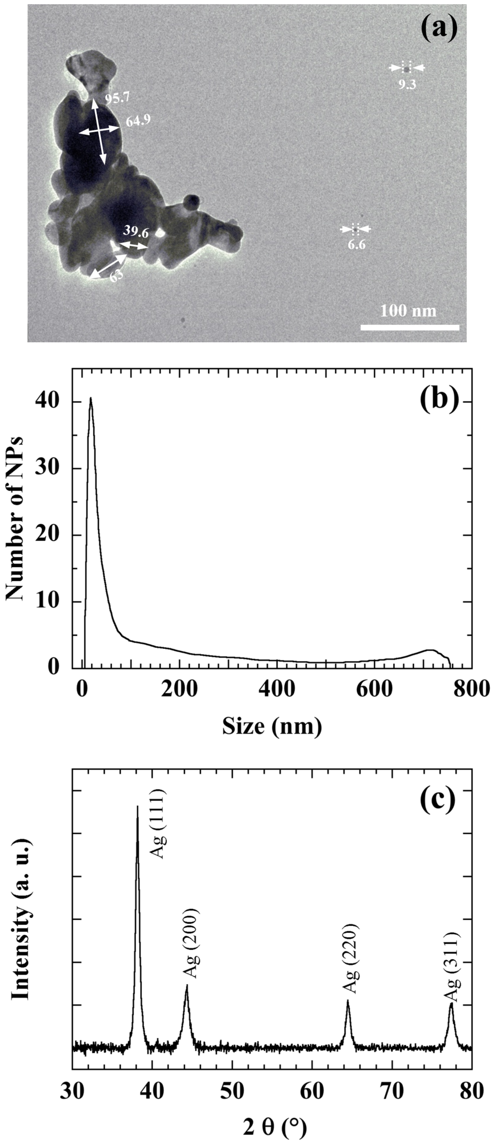 Coatings 11 00400 g002