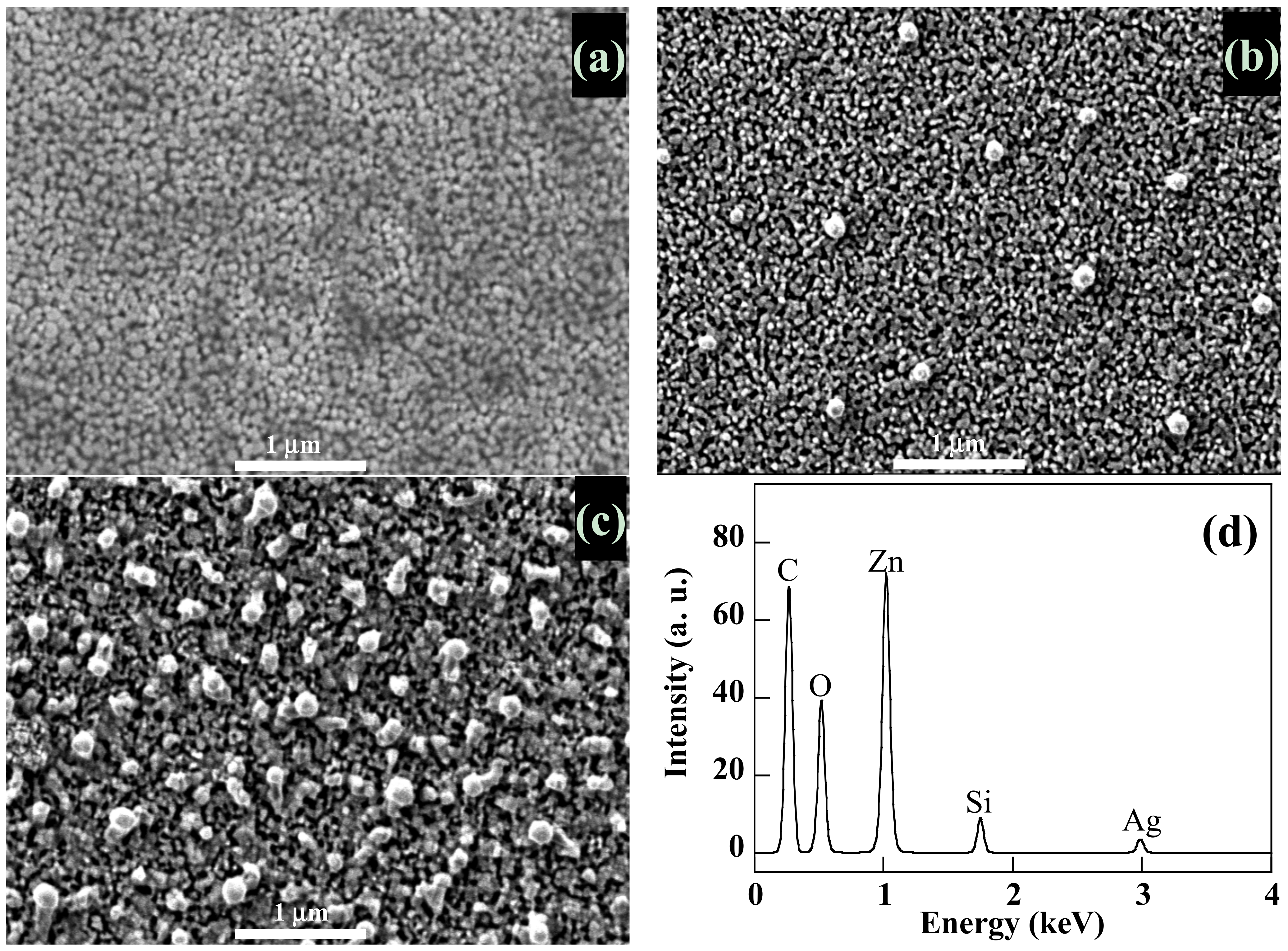 Coatings 11 00400 g003