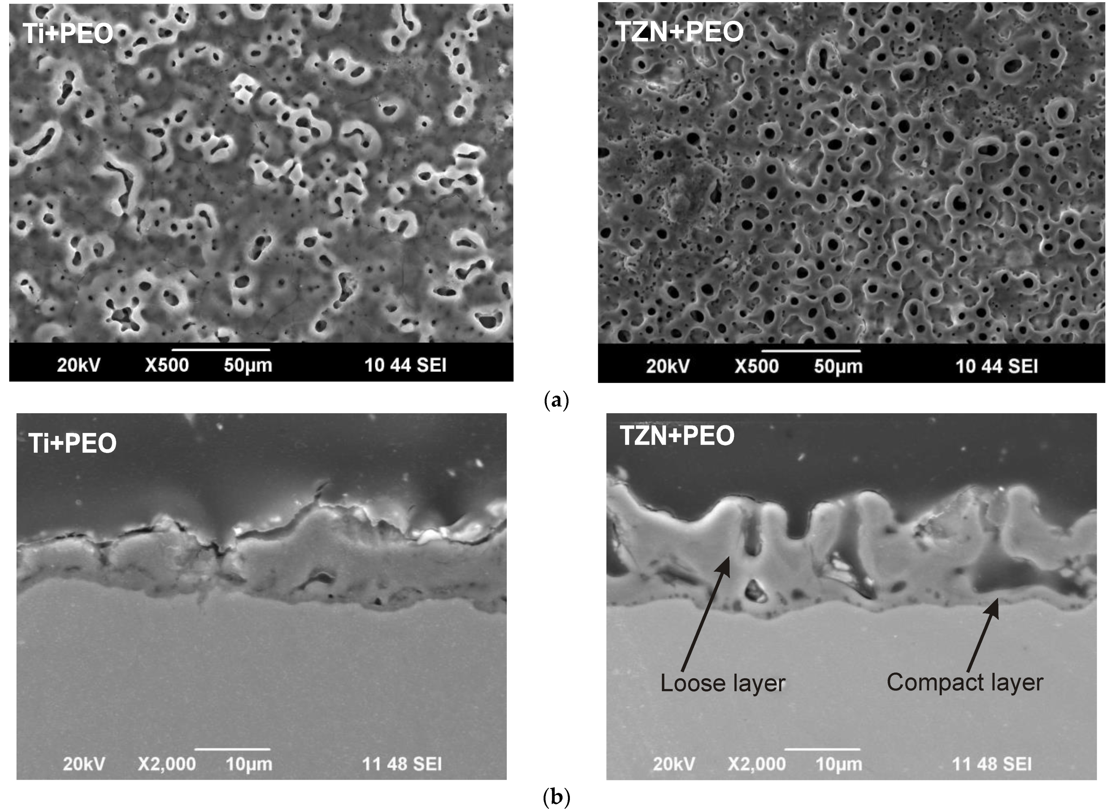 Coatings 11 00401 g002