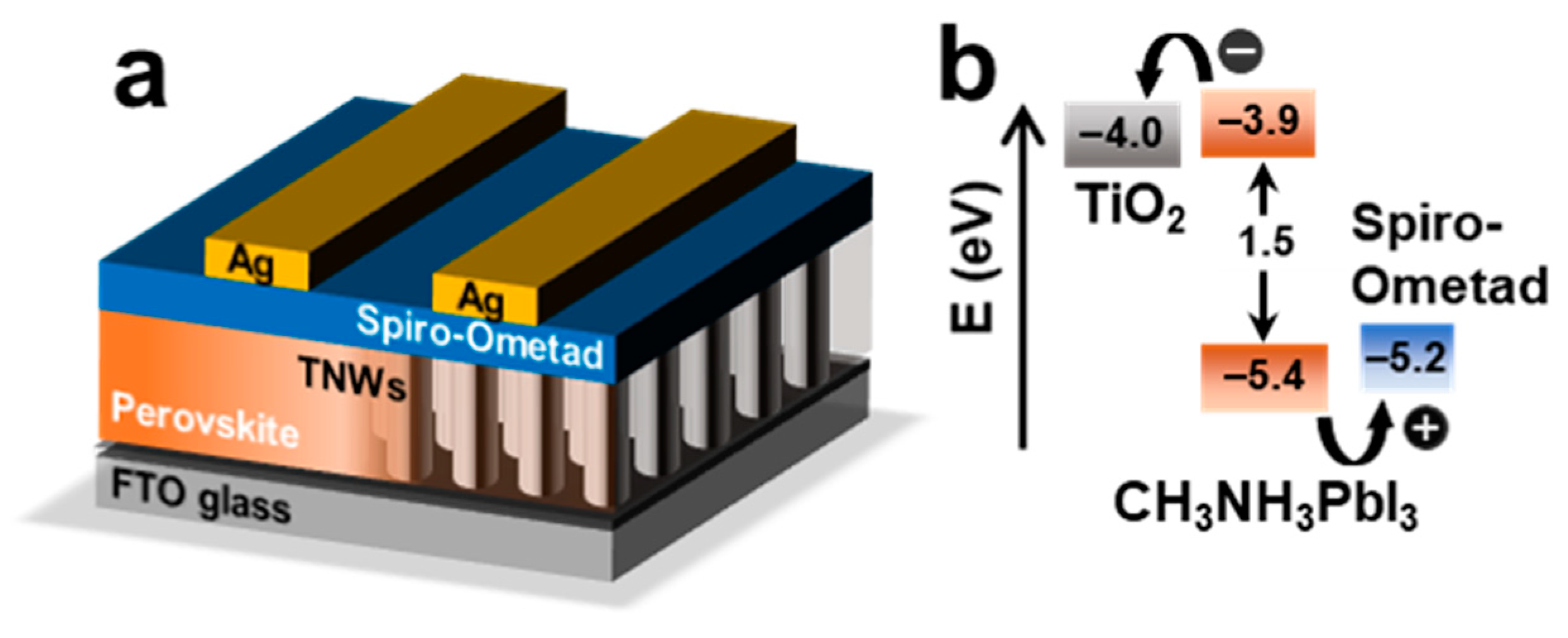 Coatings 11 00404 g001