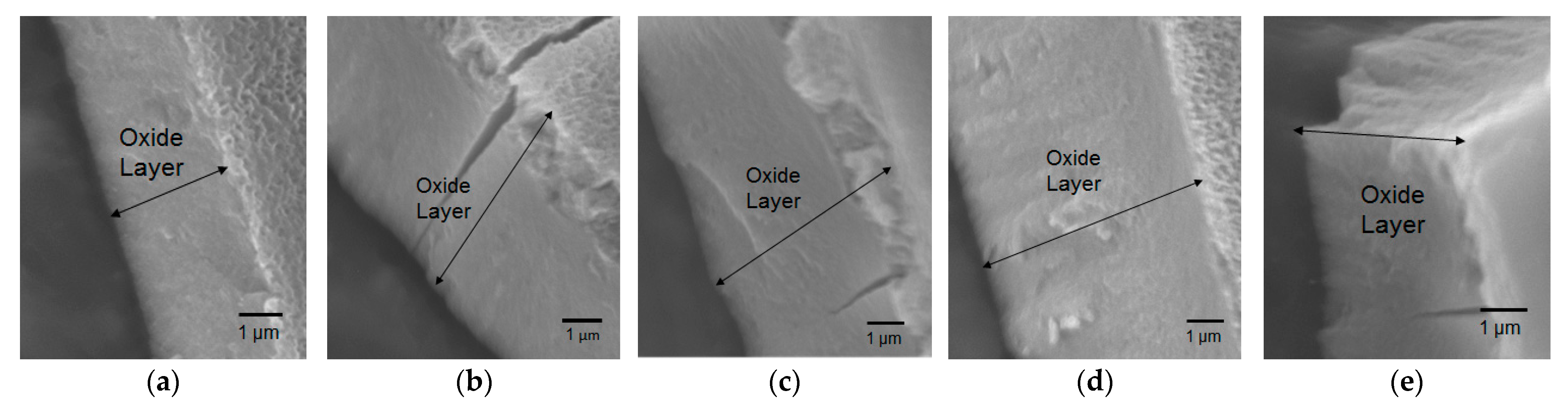 Coatings 11 00405 g001 Coatings 11 00405 g001