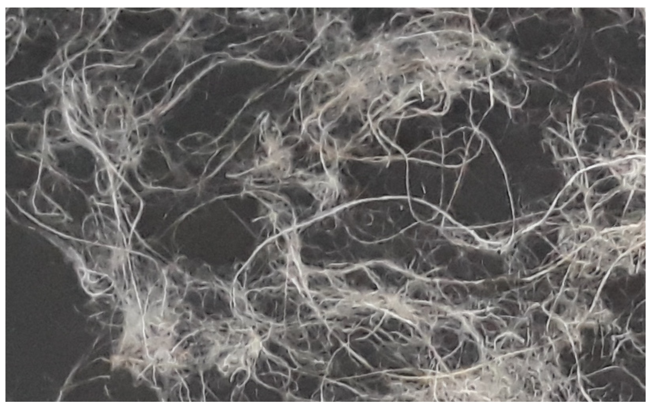 Coatings 11 00407 g001