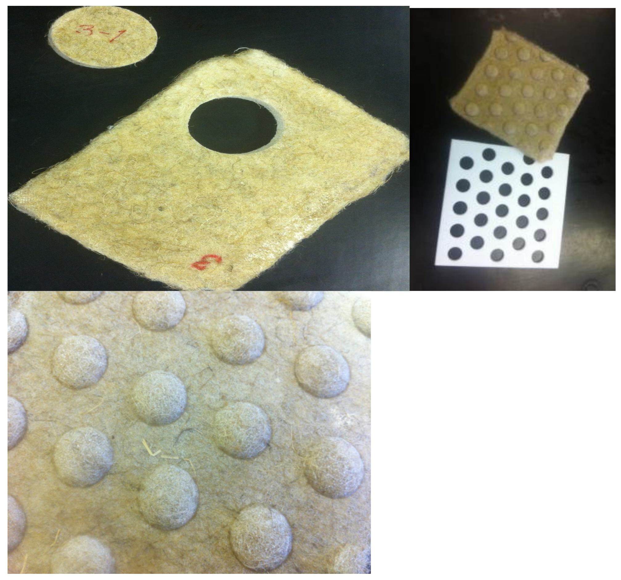 Coatings 11 00407 g002