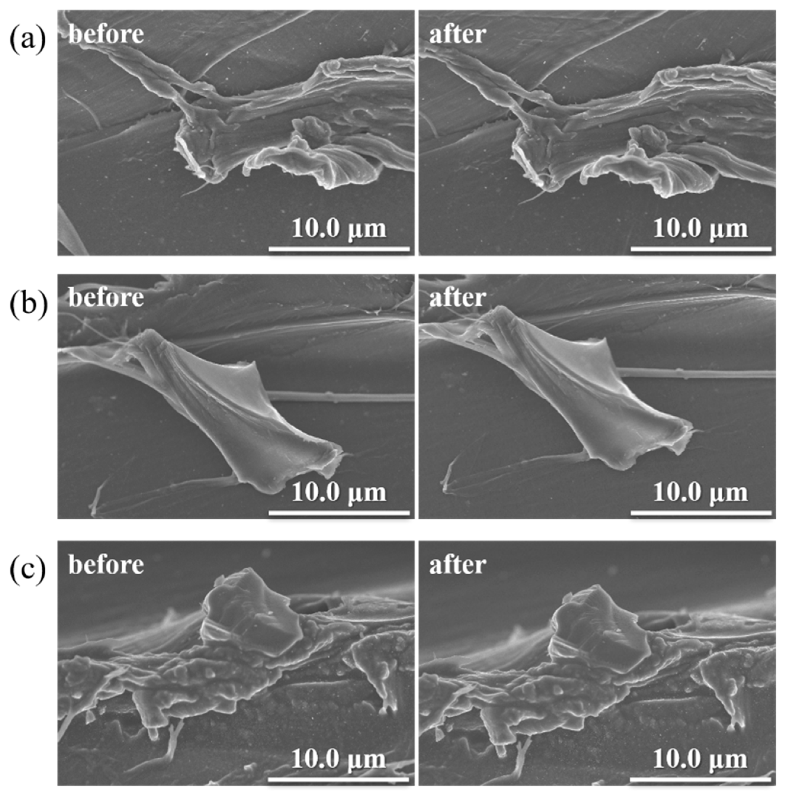 Coatings 11 00411 g002