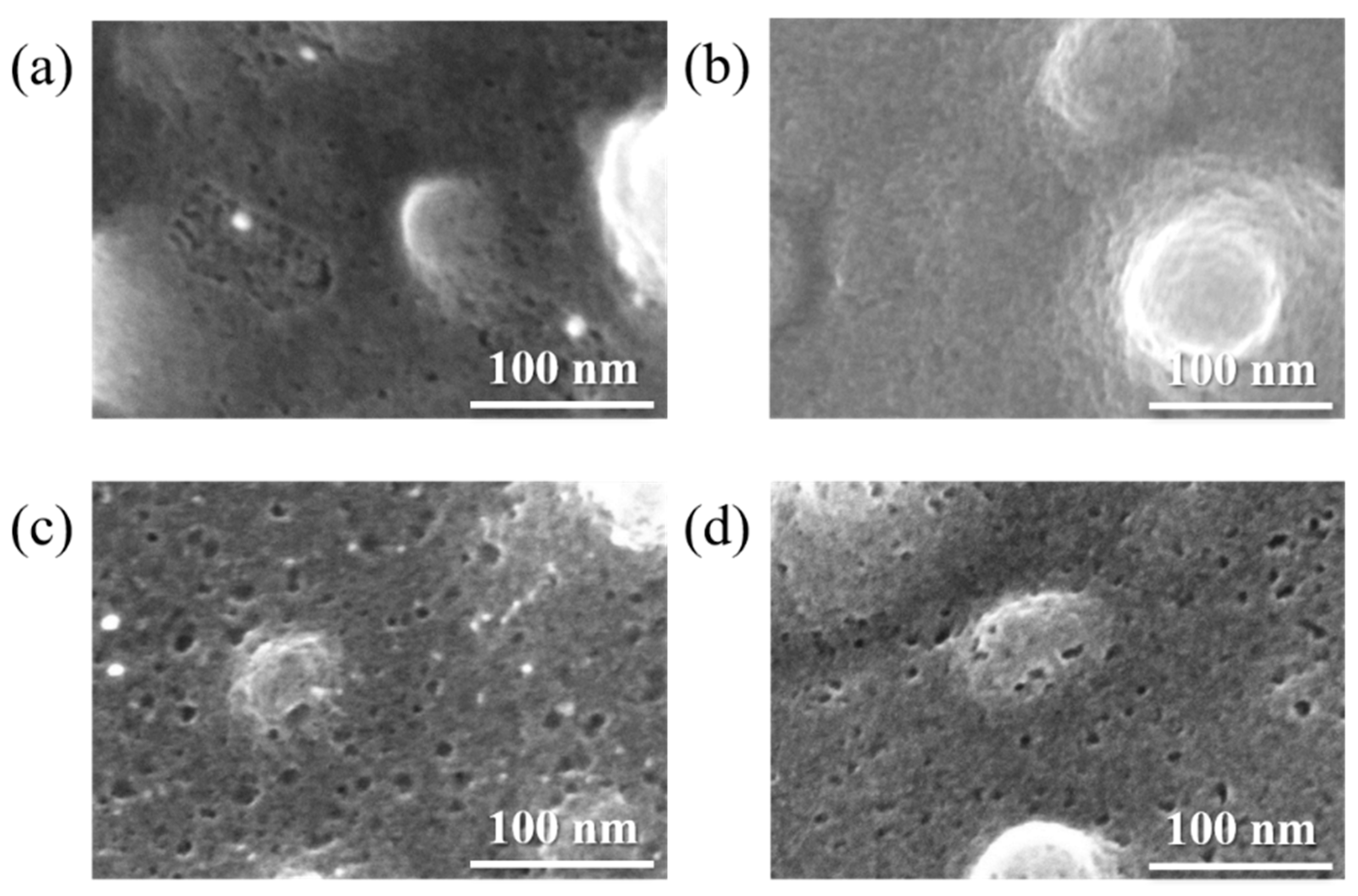 Coatings 11 00411 g003