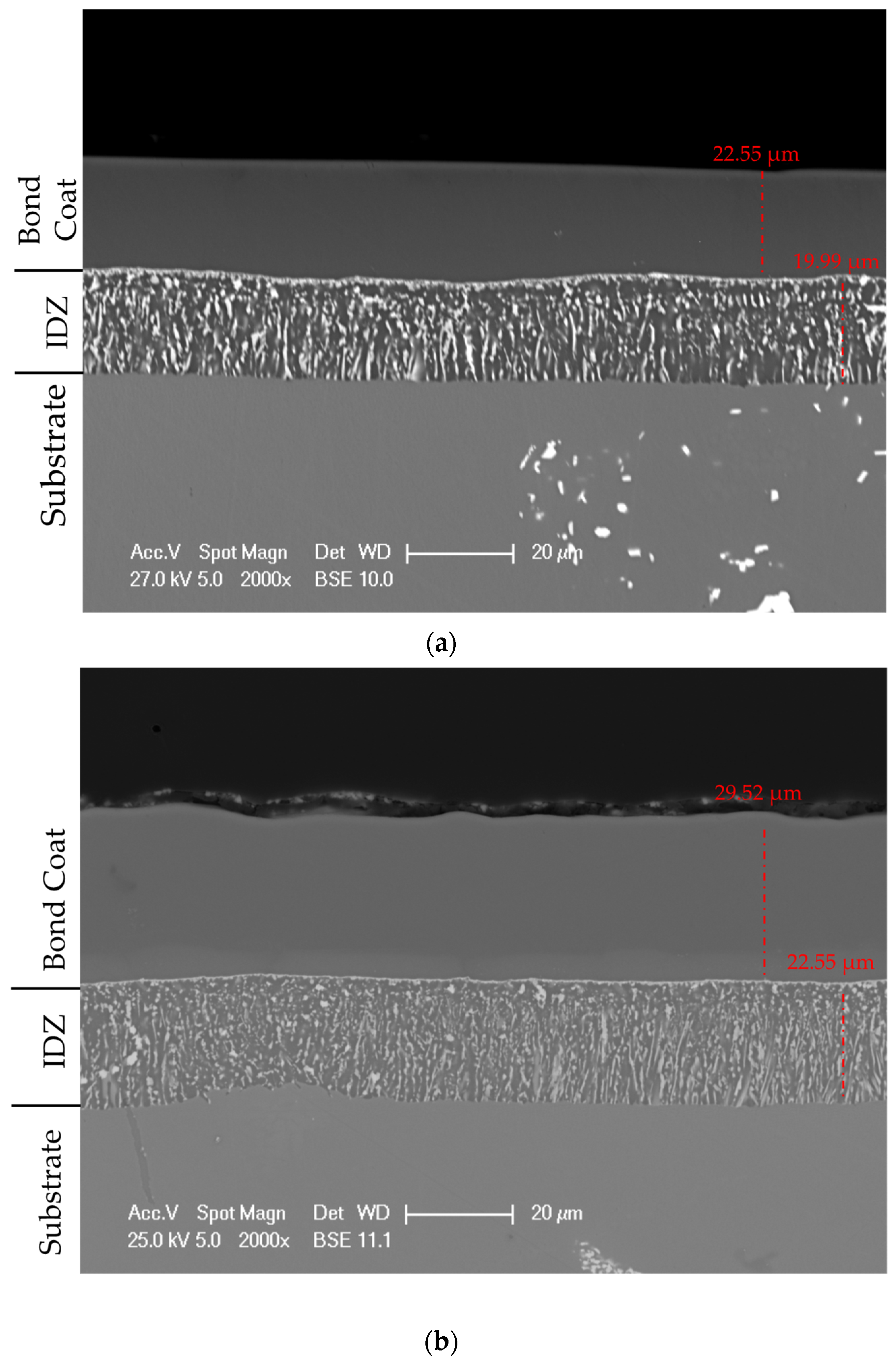 Coatings 11 00412 g004