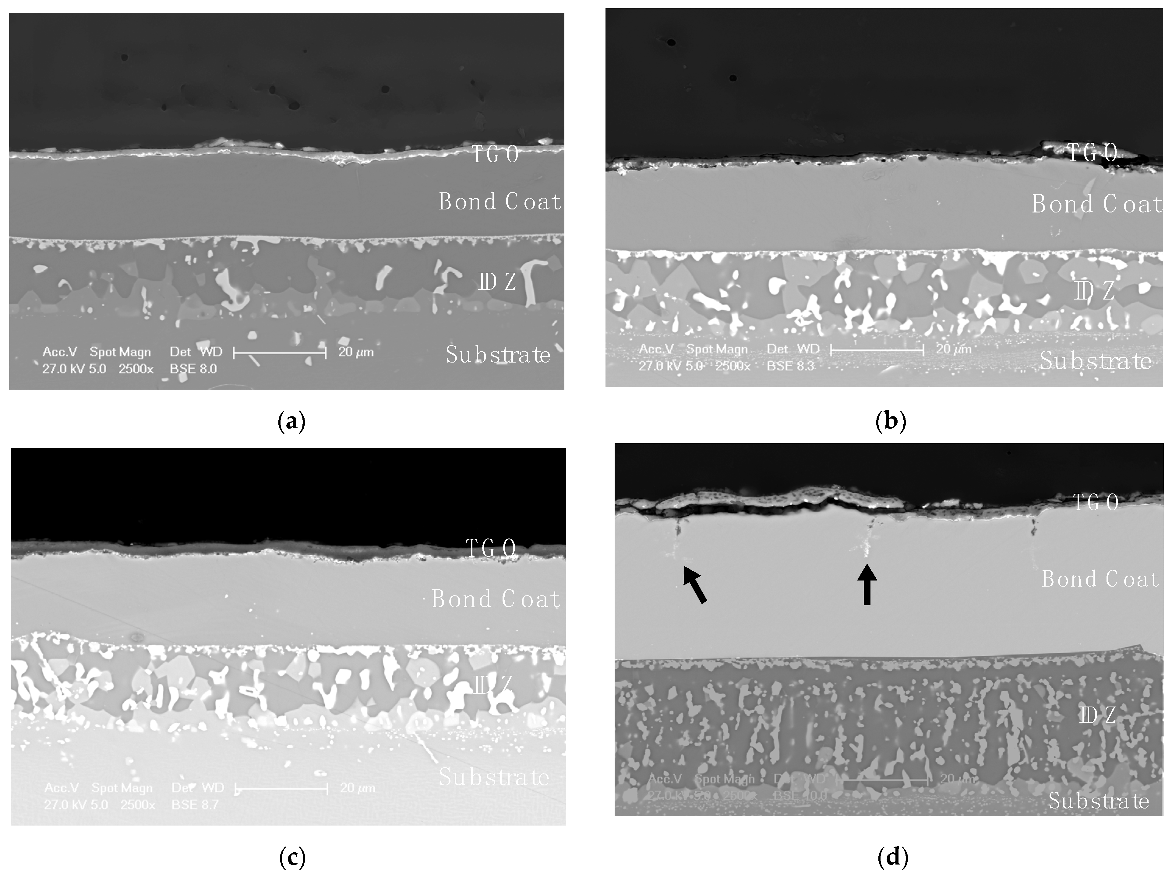 Coatings 11 00412 g007