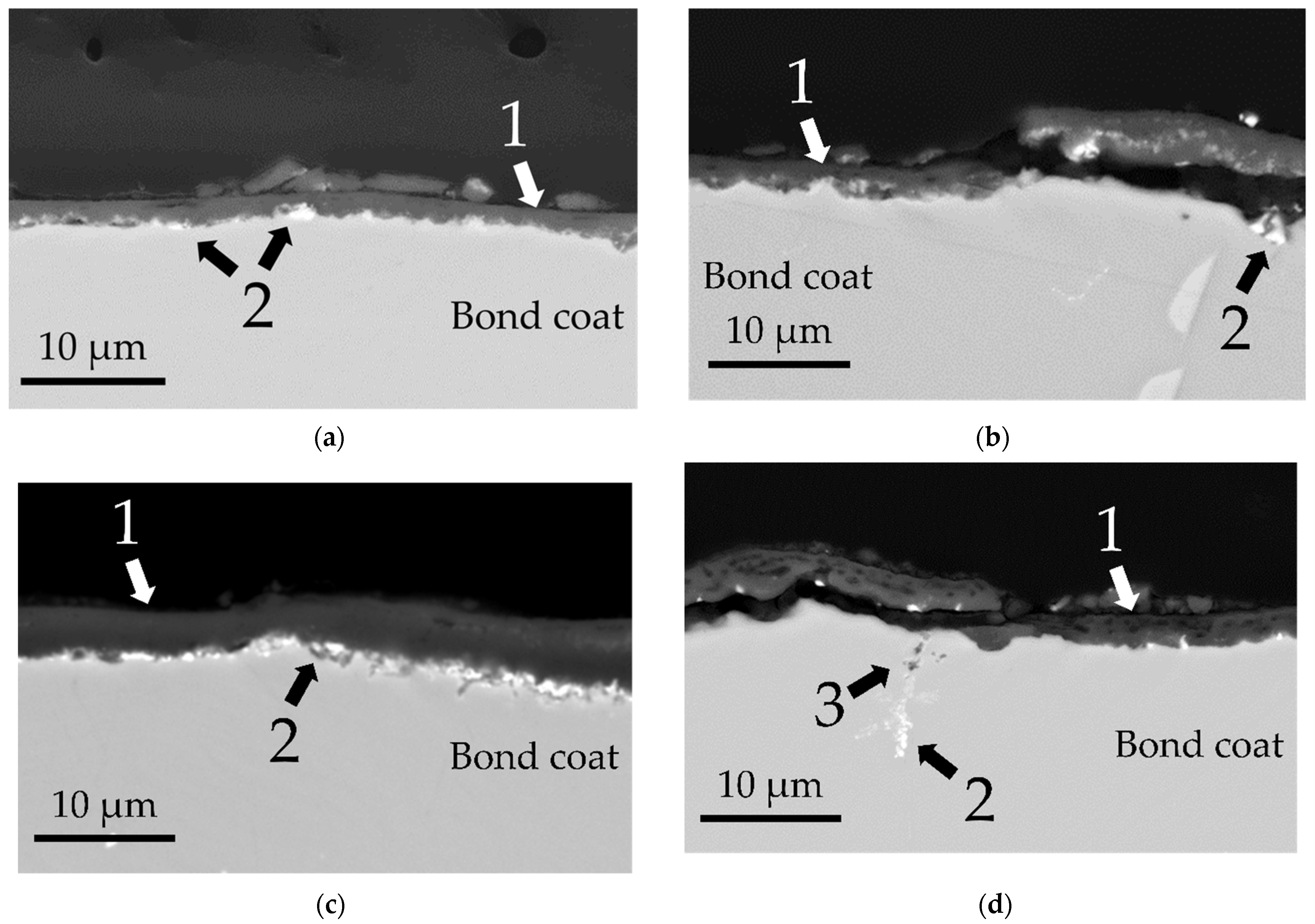 Coatings 11 00412 g008
