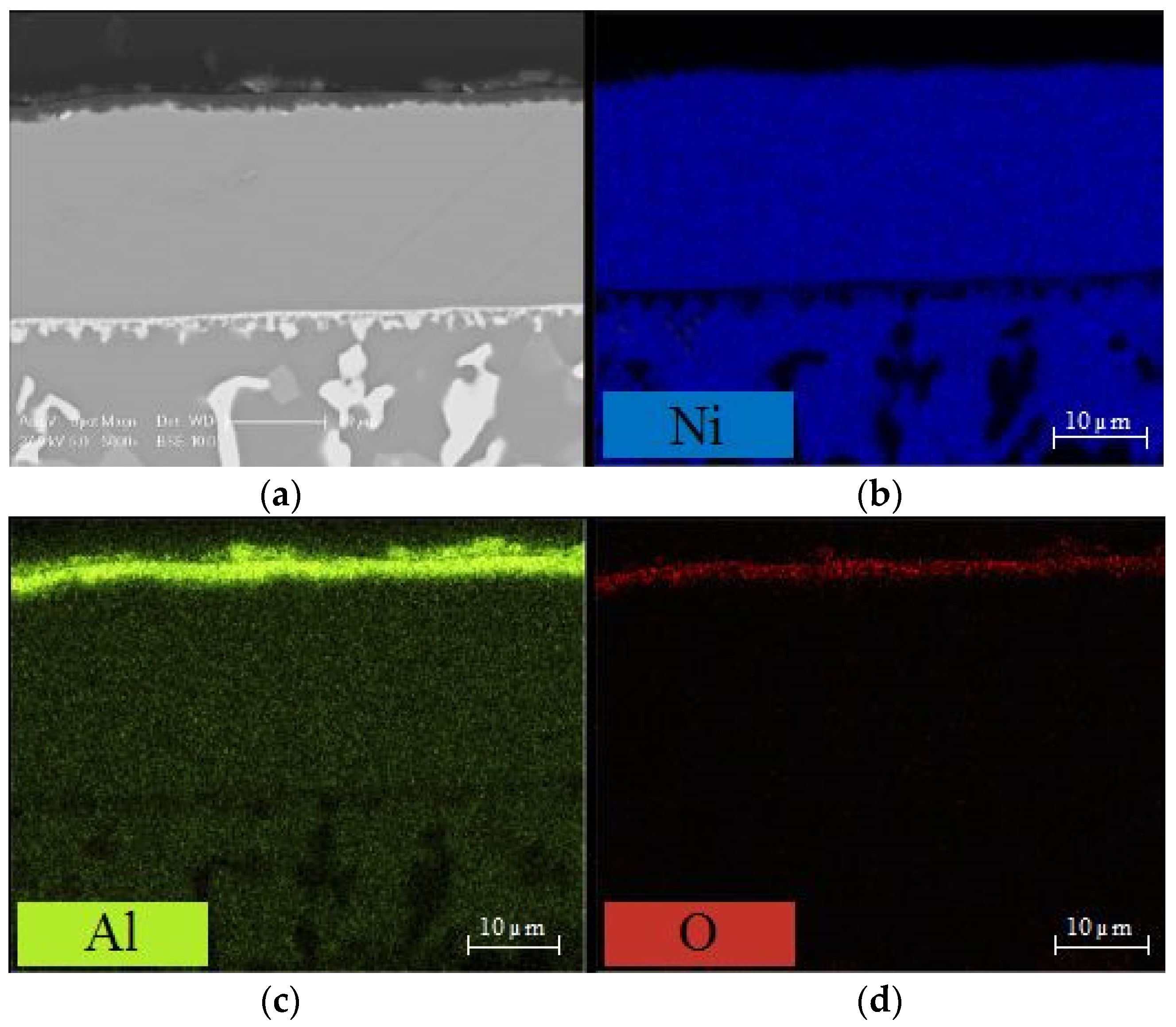 Coatings 11 00412 g012a