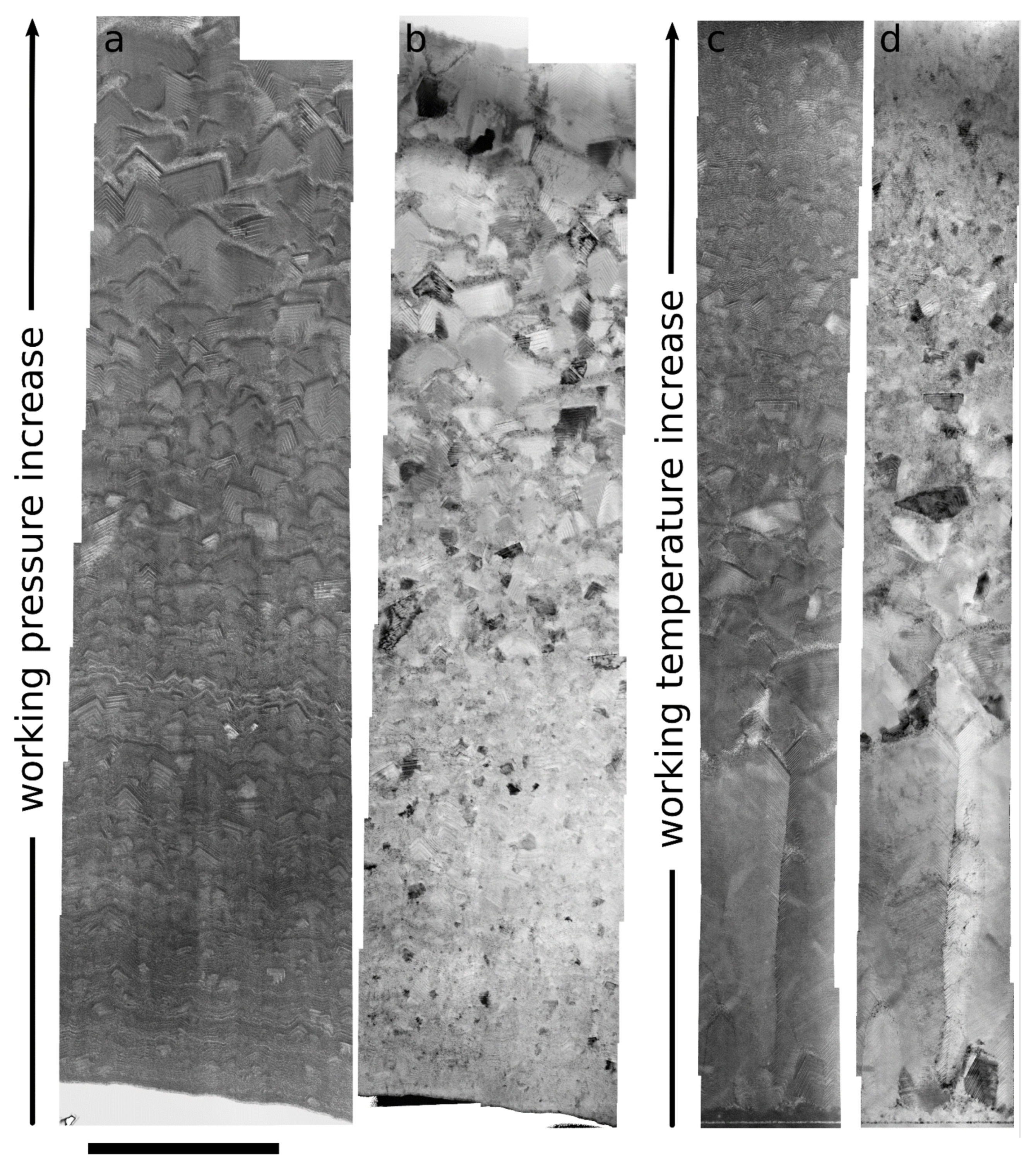 Coatings 11 00416 g002