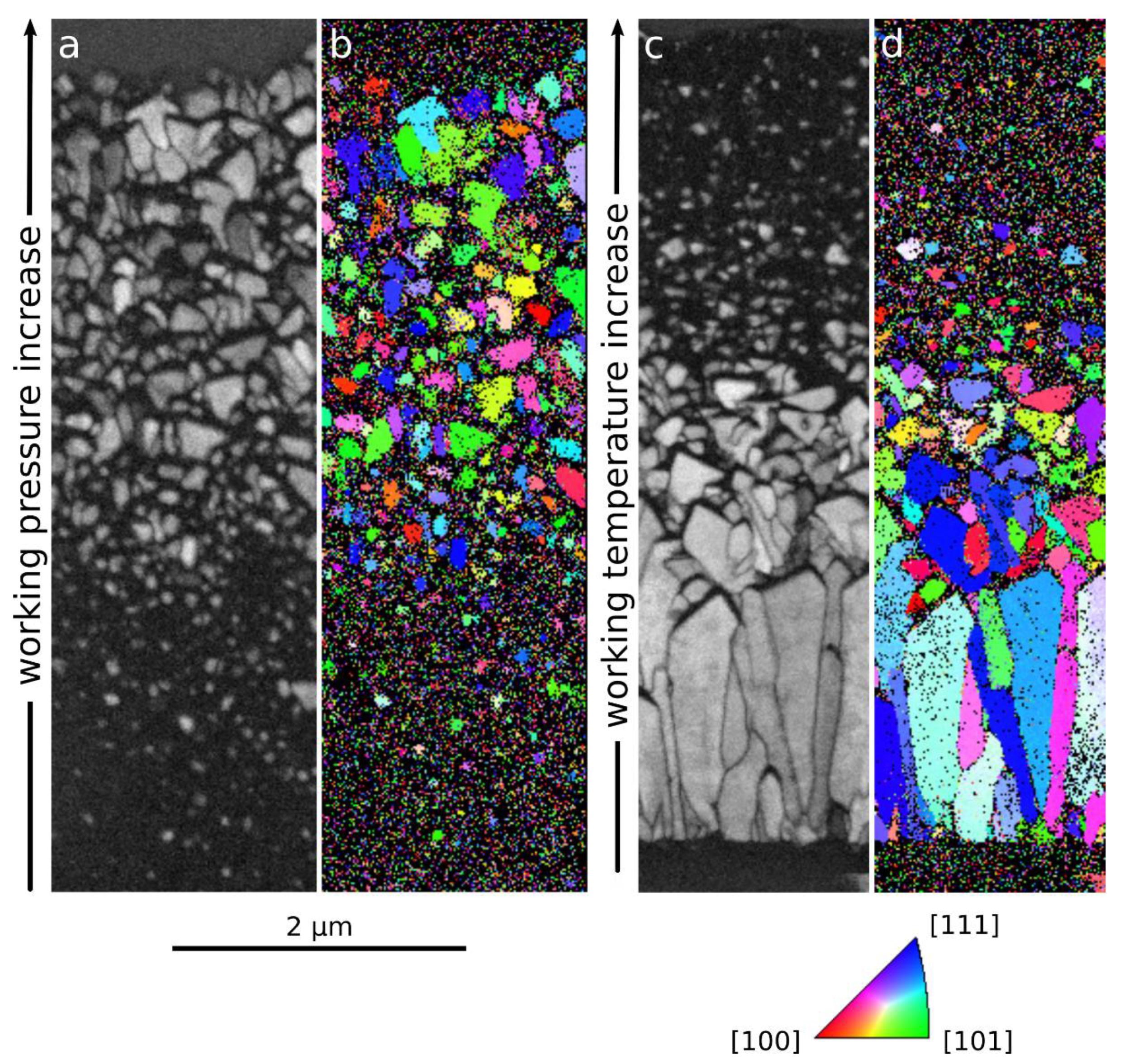Coatings 11 00416 g003