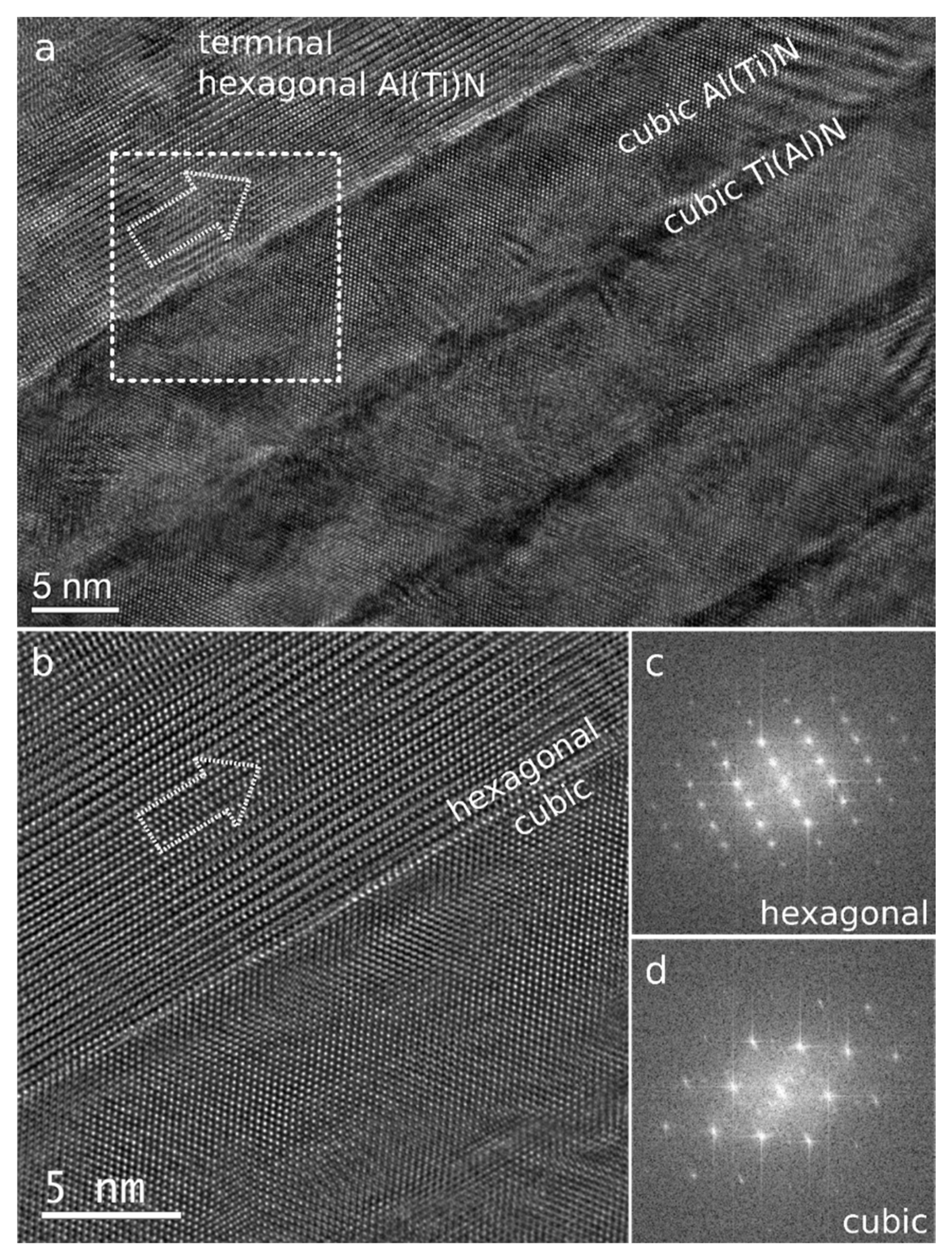 Coatings 11 00416 g007
