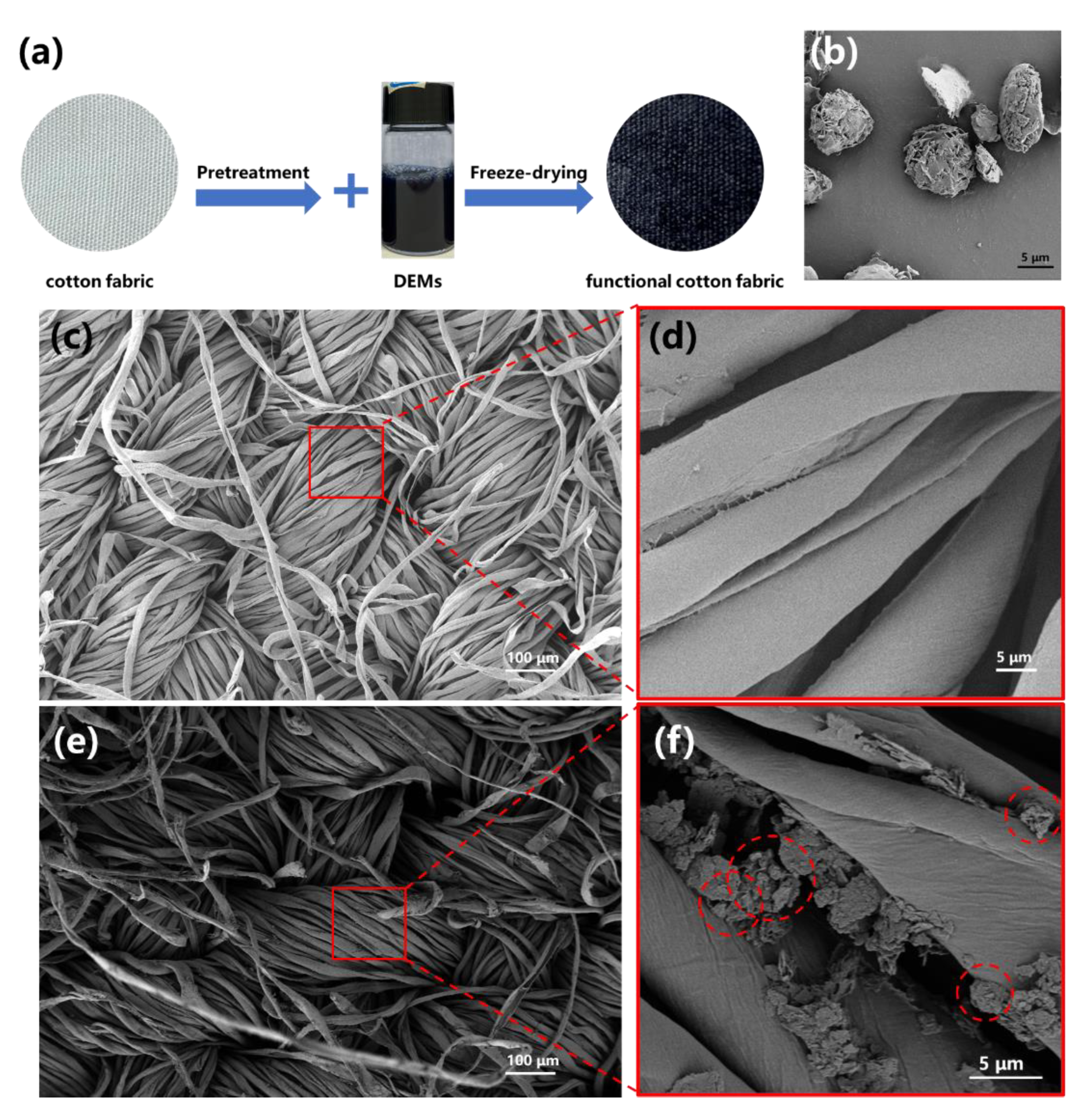 Coatings 11 00426 g002