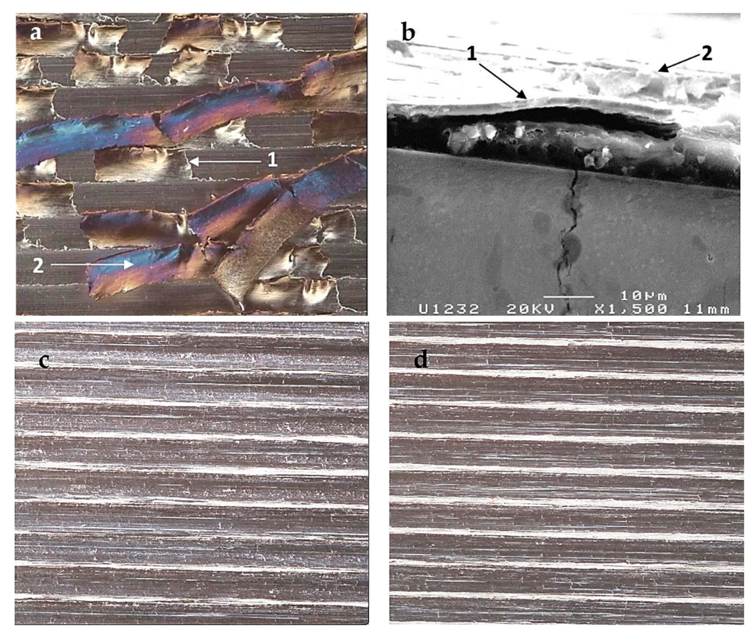 Coatings 11 00428 g005 Coatings 11 00428 g005