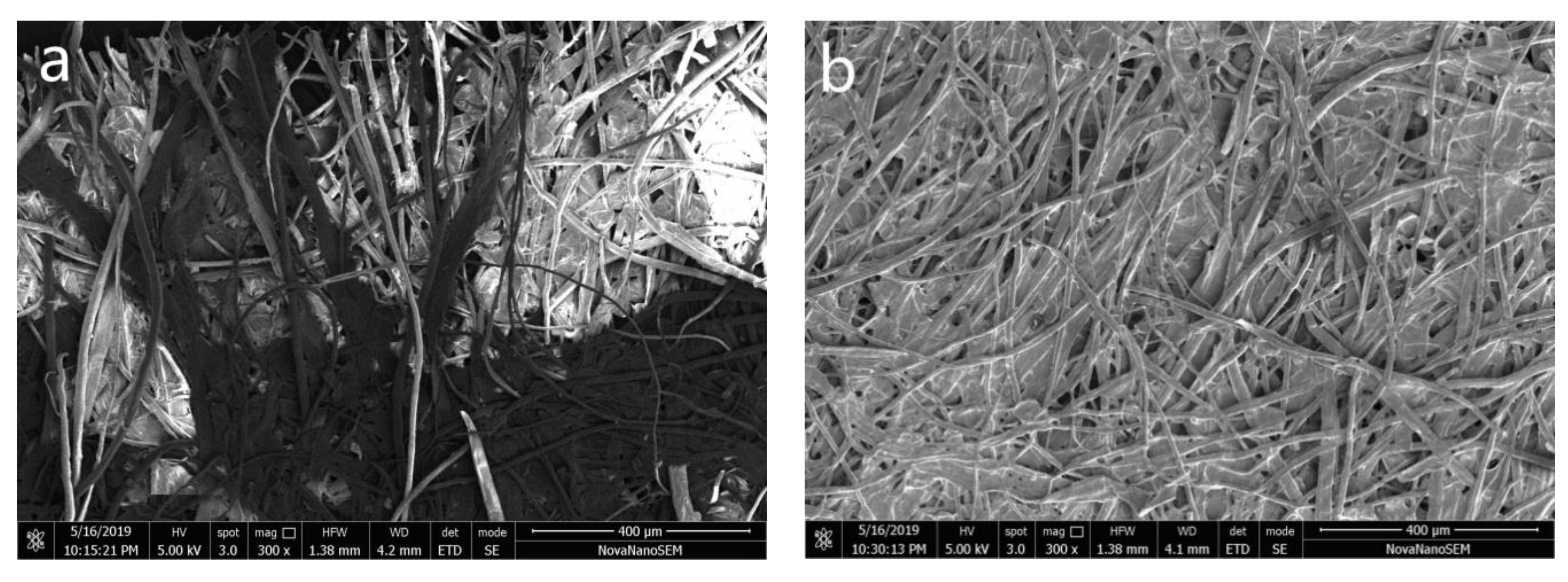 Coatings 11 00431 g006
