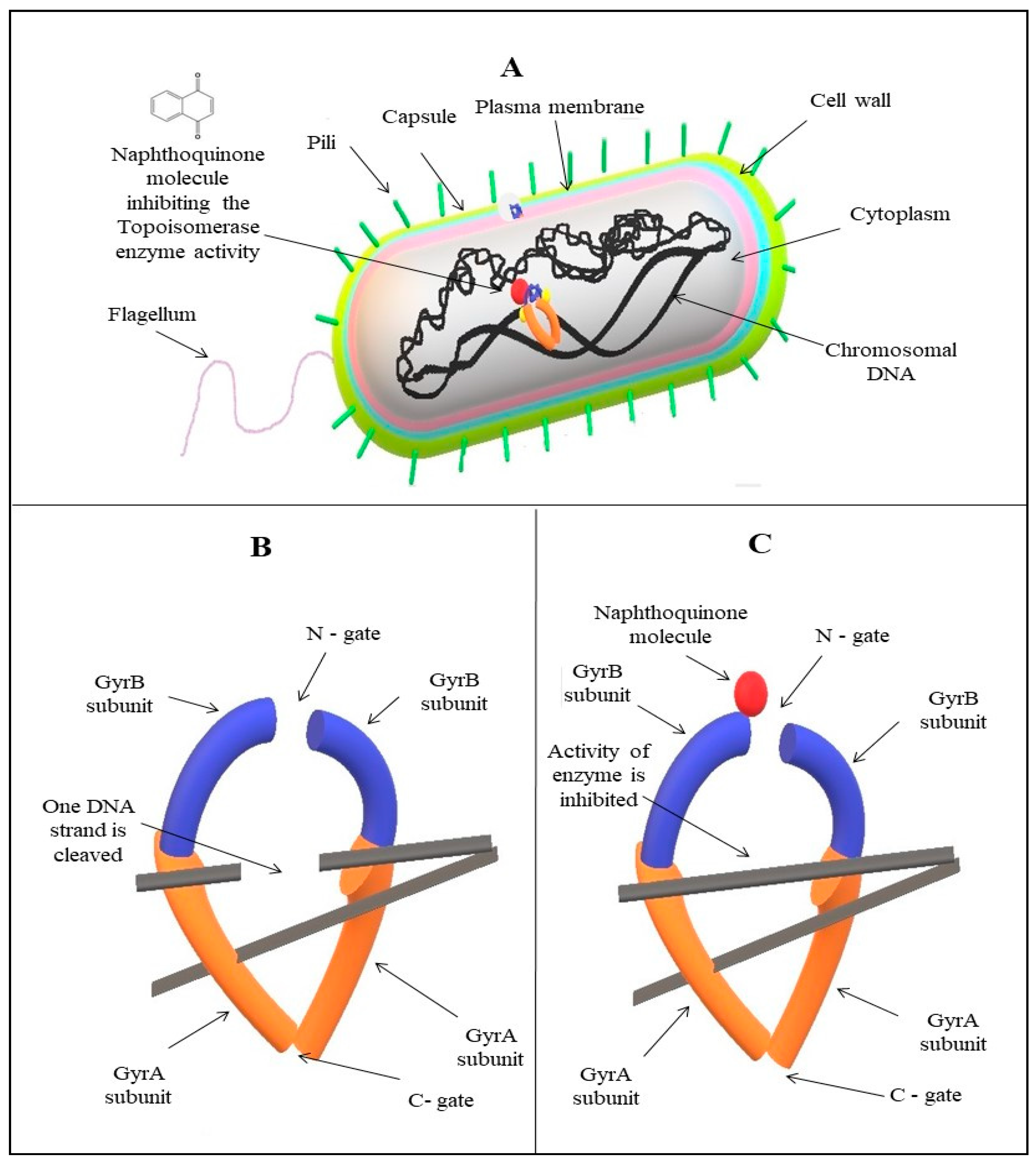 Coatings 11 00434 g006 Coatings 11 00434 g006