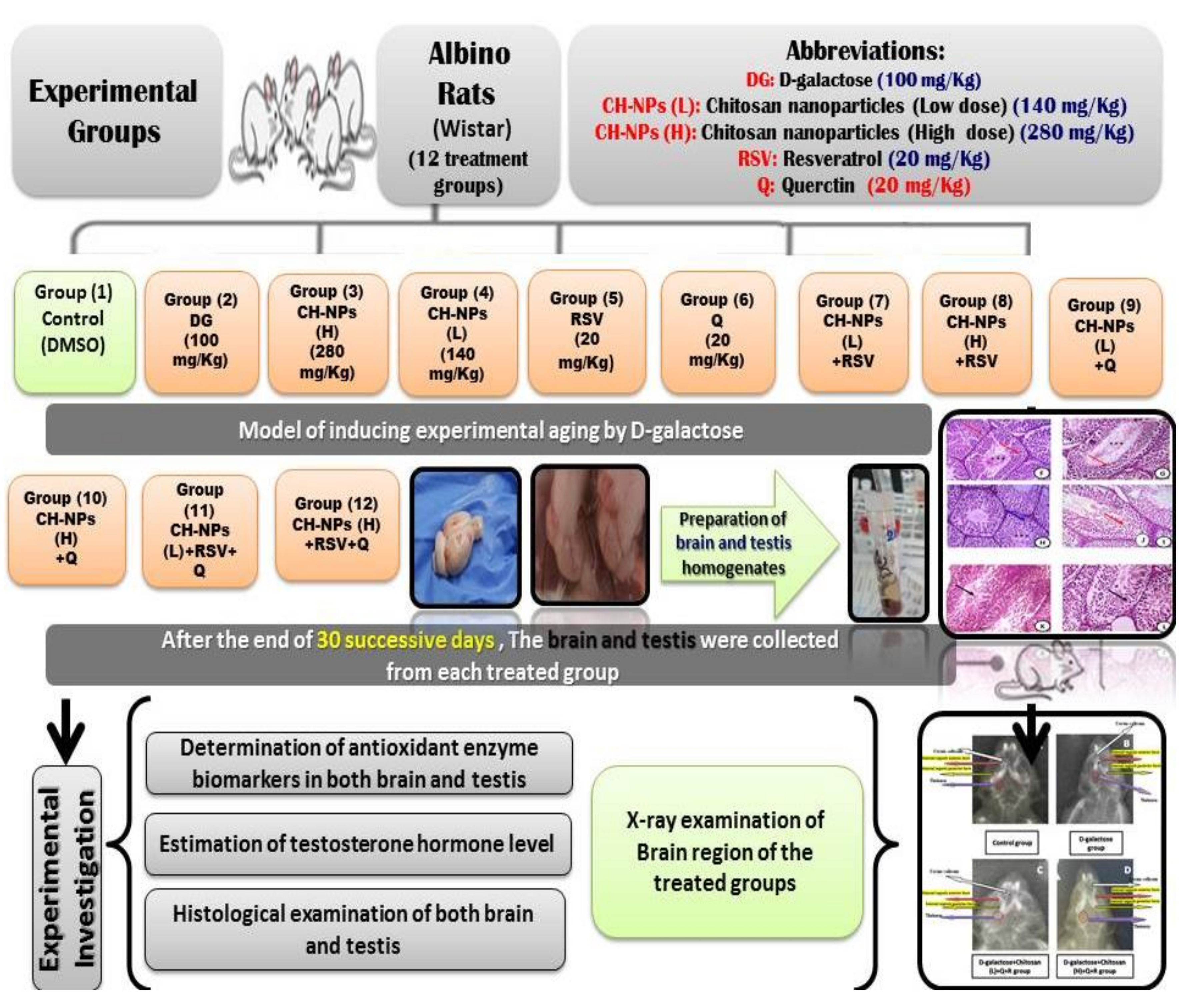 Coatings 11 00435 g001 Coatings 11 00435 g001
