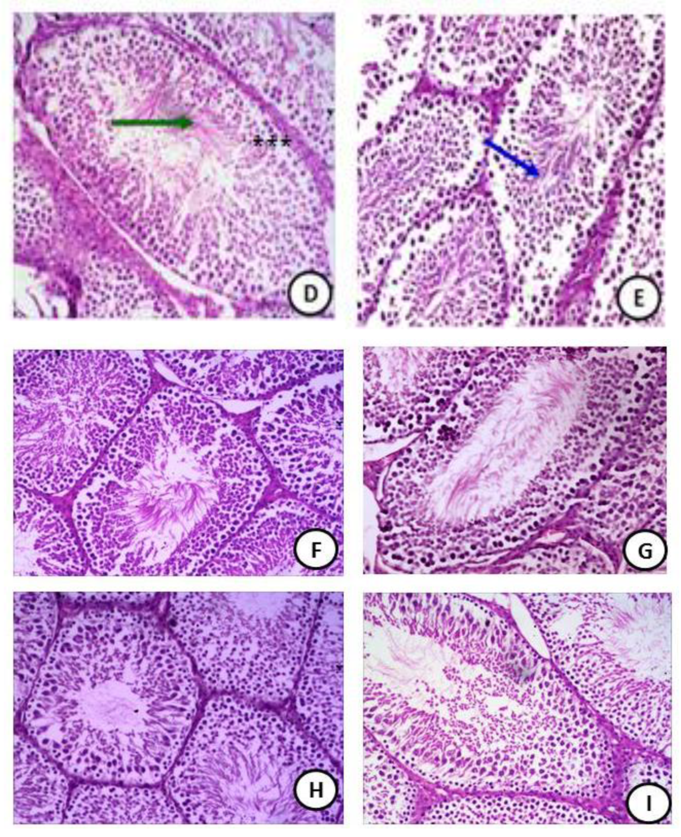 Coatings 11 00435 g005b Coatings 11 00435 g005b