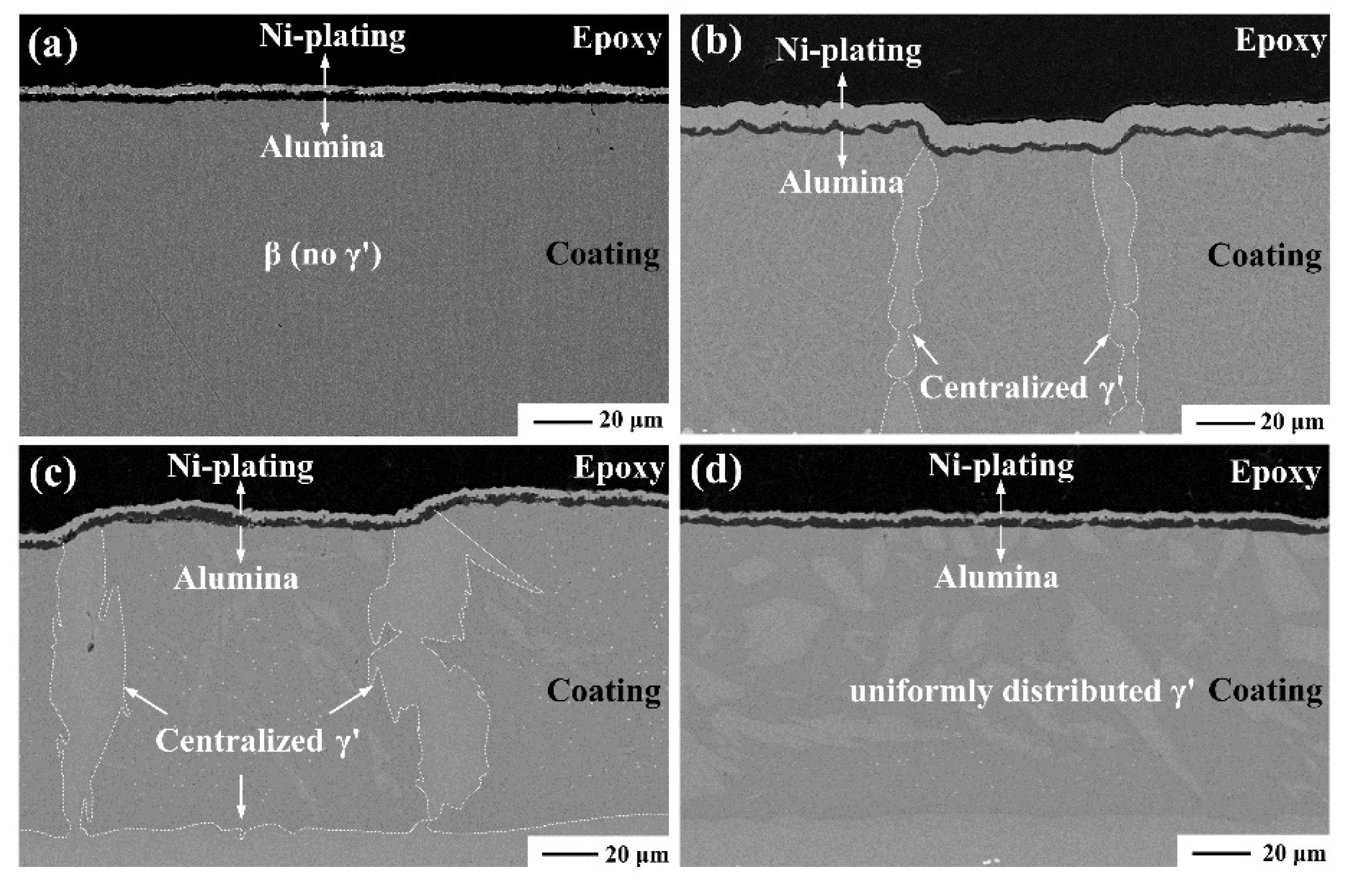Coatings 11 00436 g008
