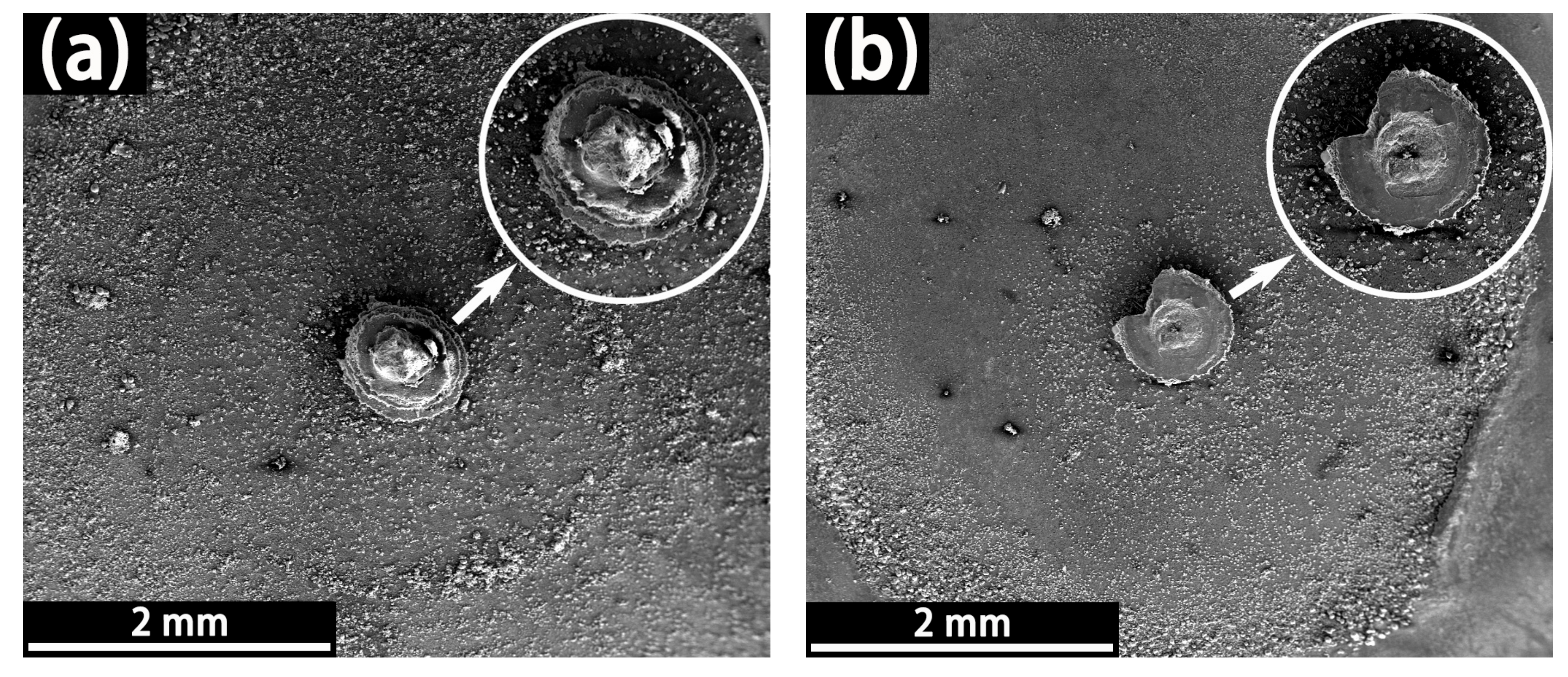 Coatings 11 00439 g014a Coatings 11 00439 g014a
