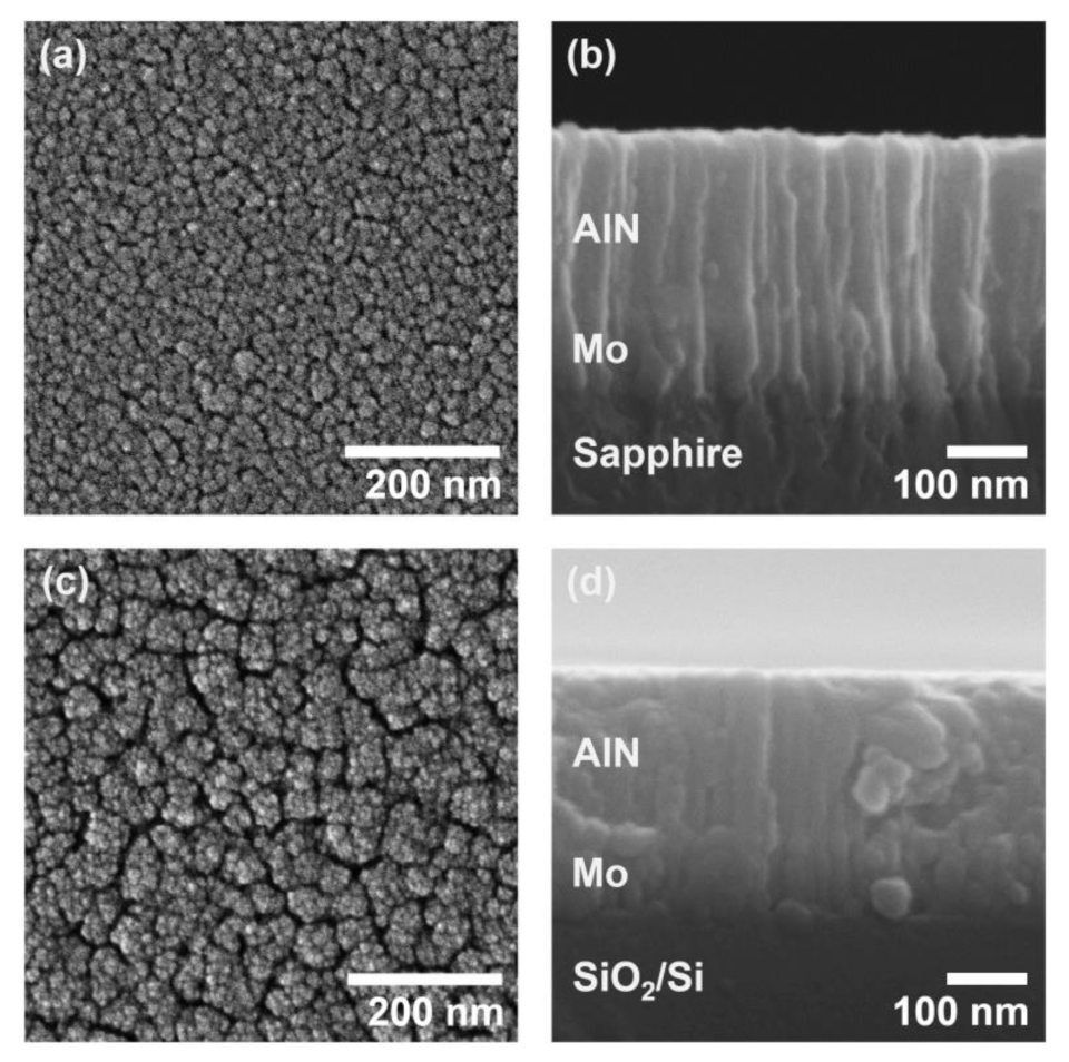 Coatings 11 00443 g005 Coatings 11 00443 g005