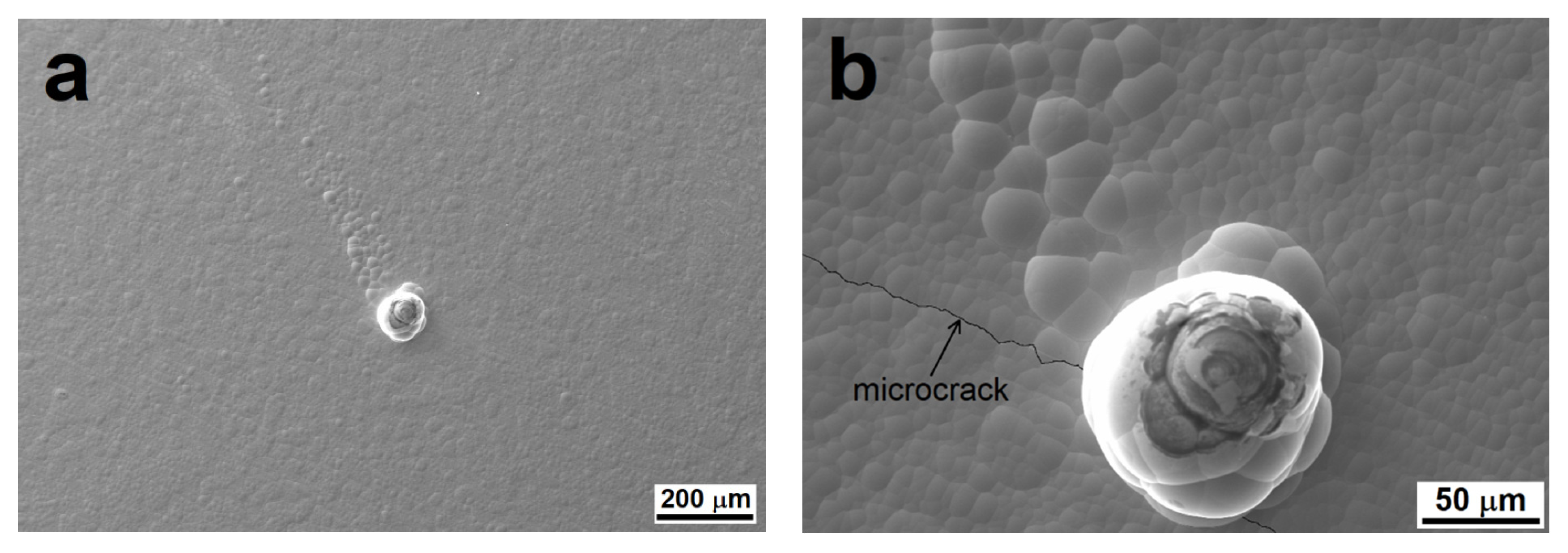 Coatings 11 00447 g010