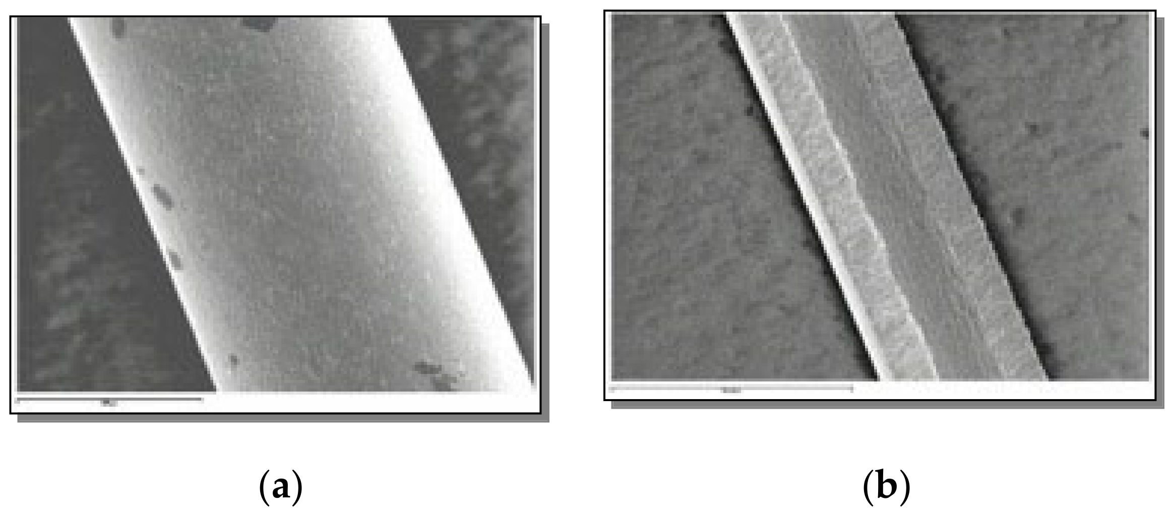 Coatings 11 00448 g005