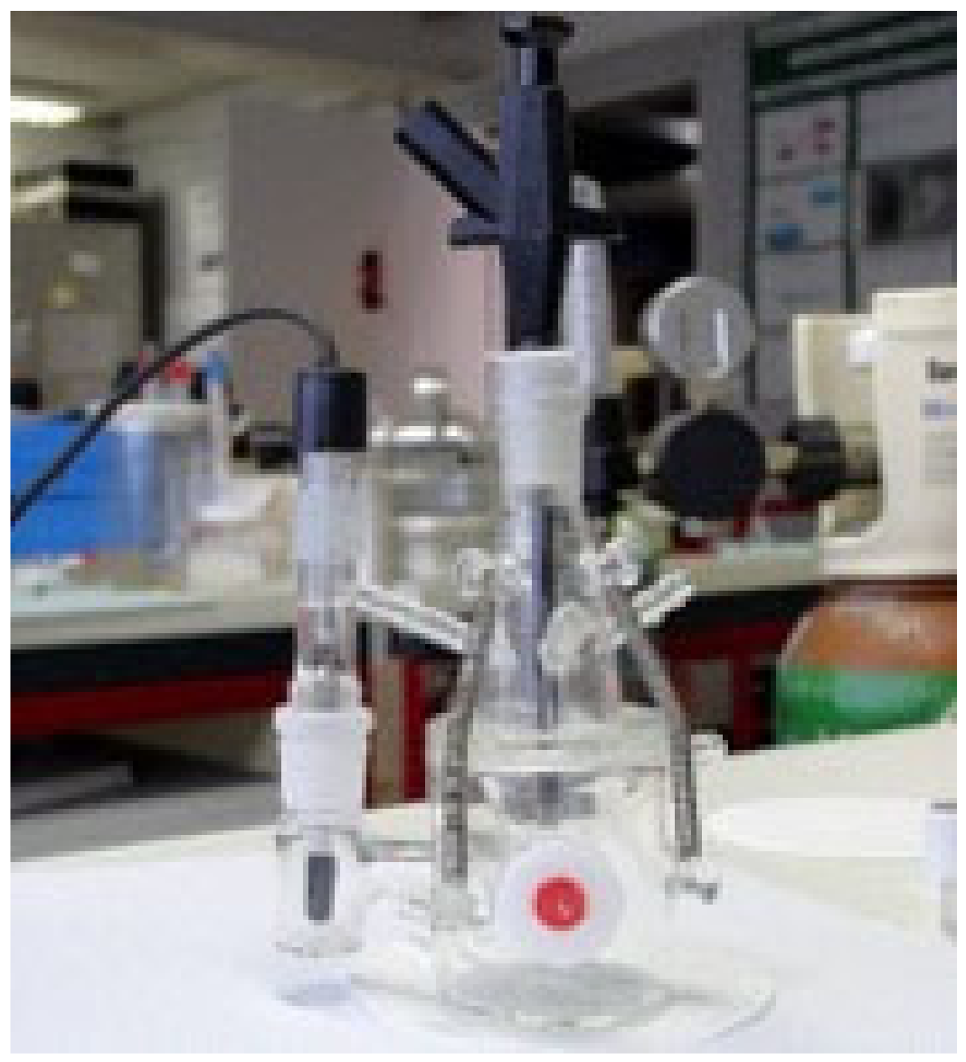 Coatings 11 00448 g007