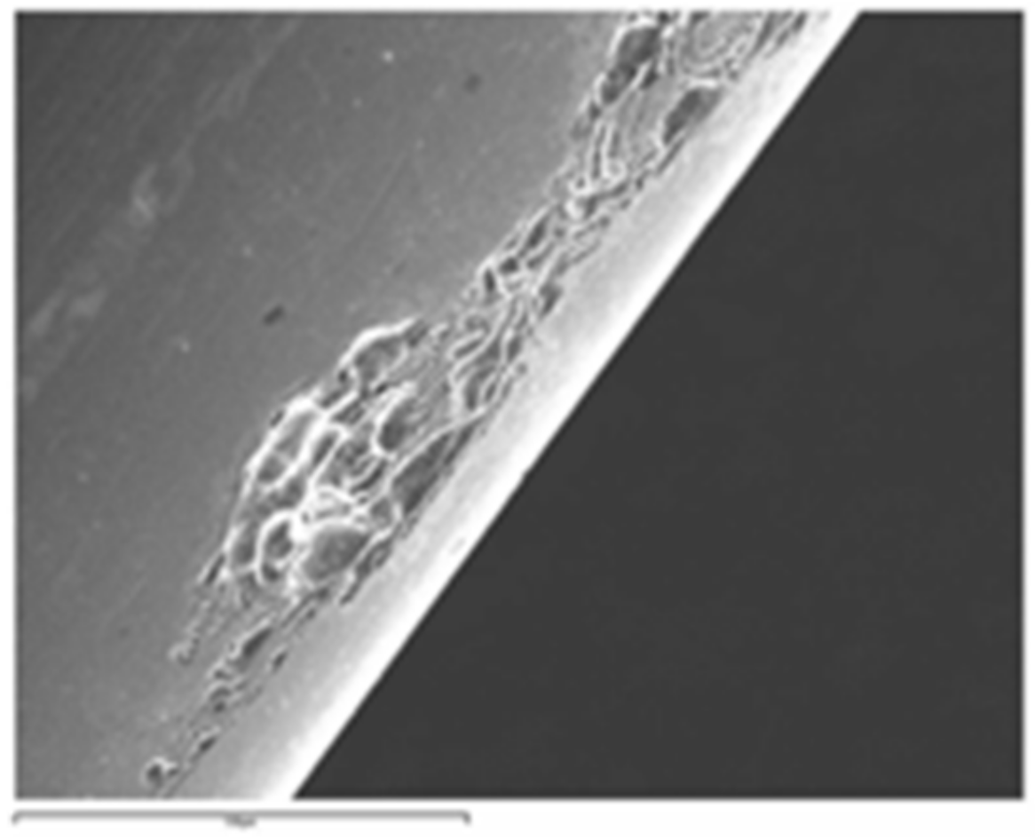 Coatings 11 00448 g010