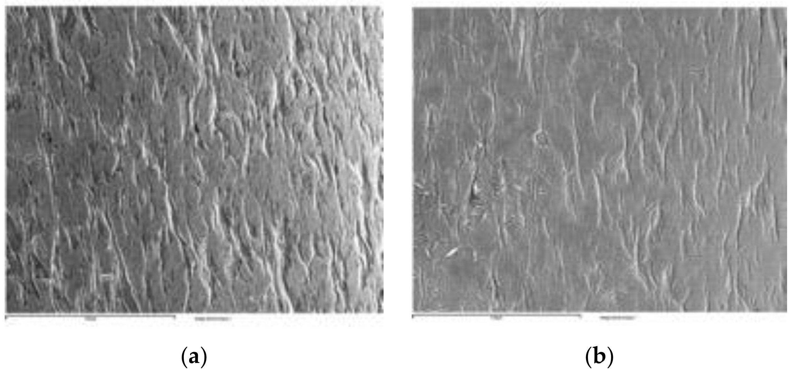 Coatings 11 00448 g016