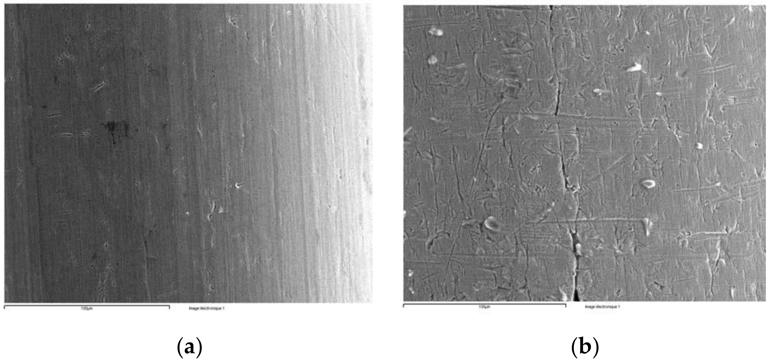 Coatings 11 00448 g017