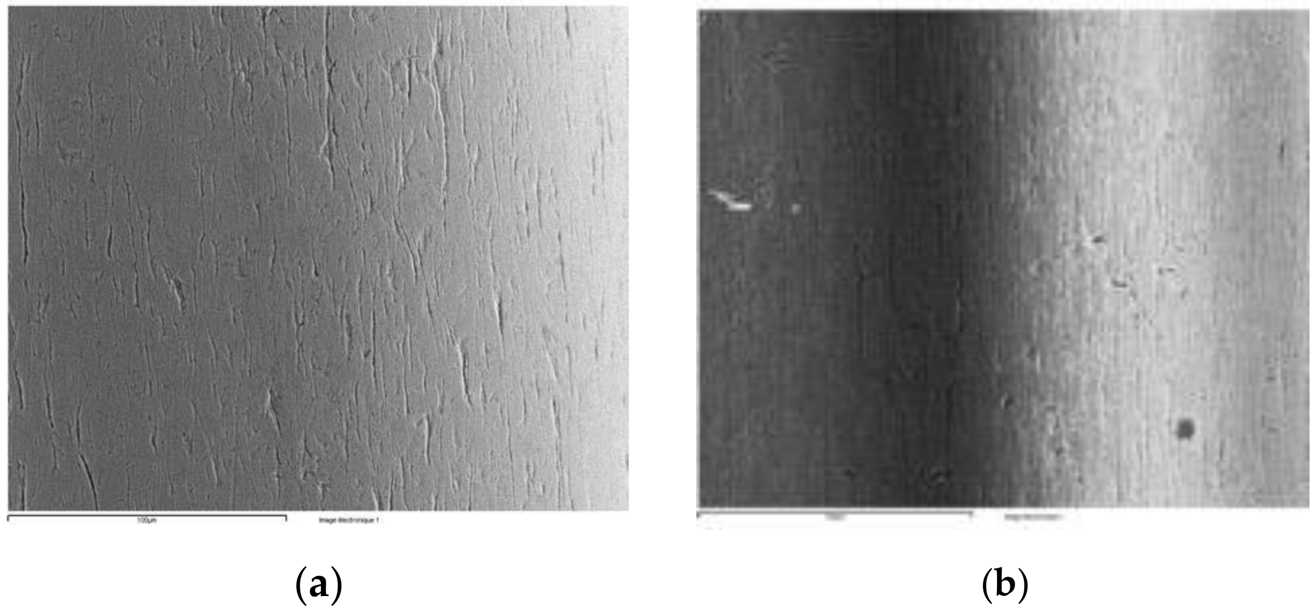 Coatings 11 00448 g019