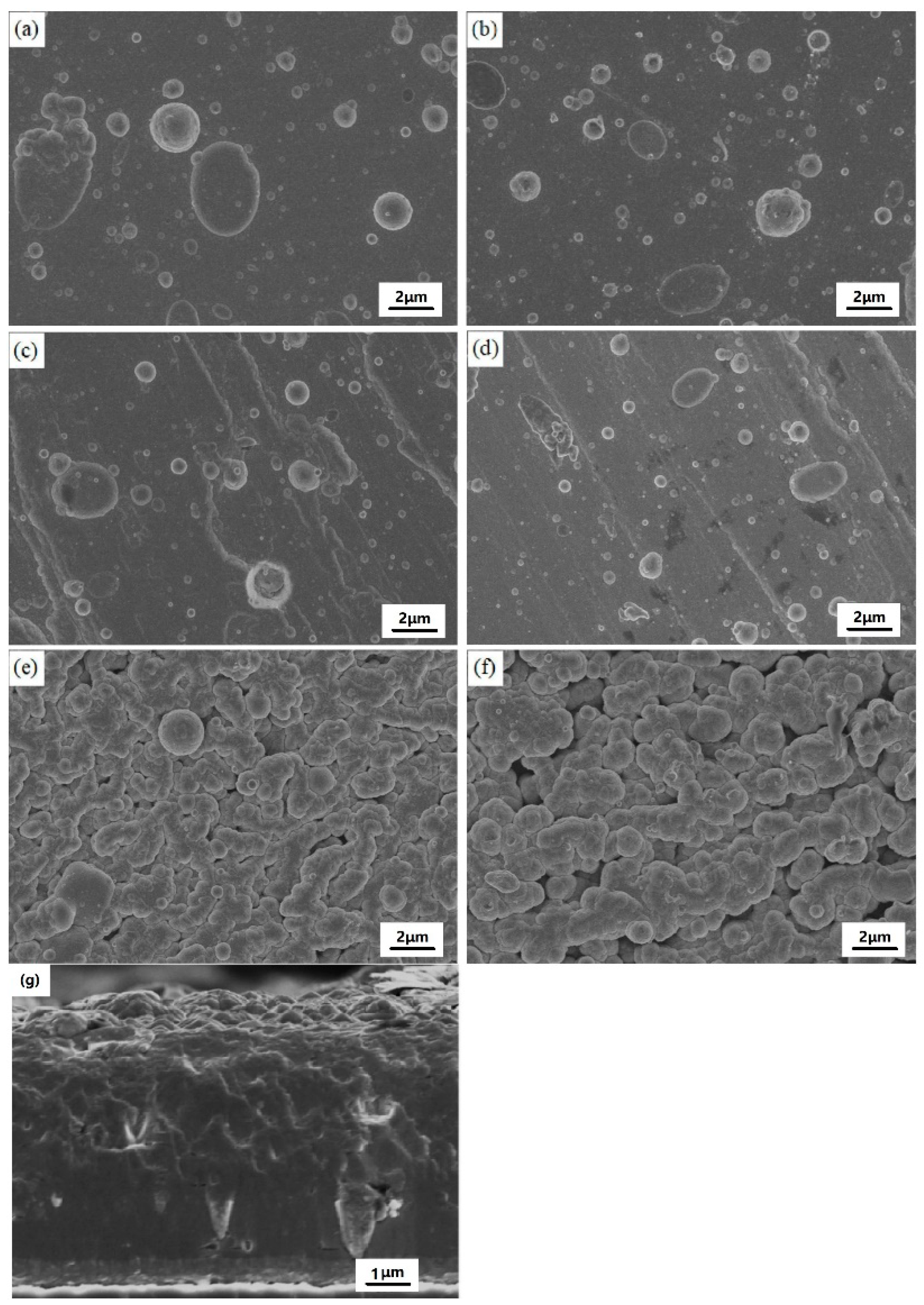 Coatings 11 00459 g002 Coatings 11 00459 g002