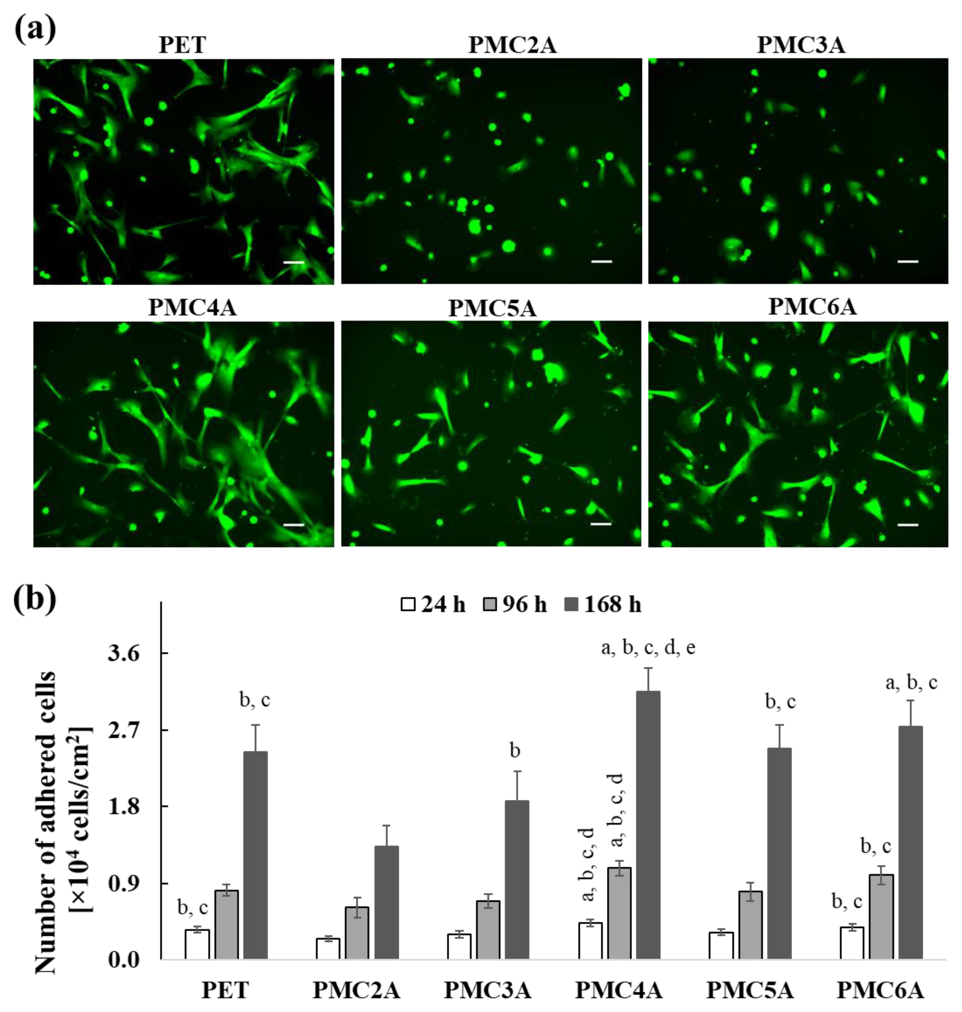 Coatings 11 00461 g002